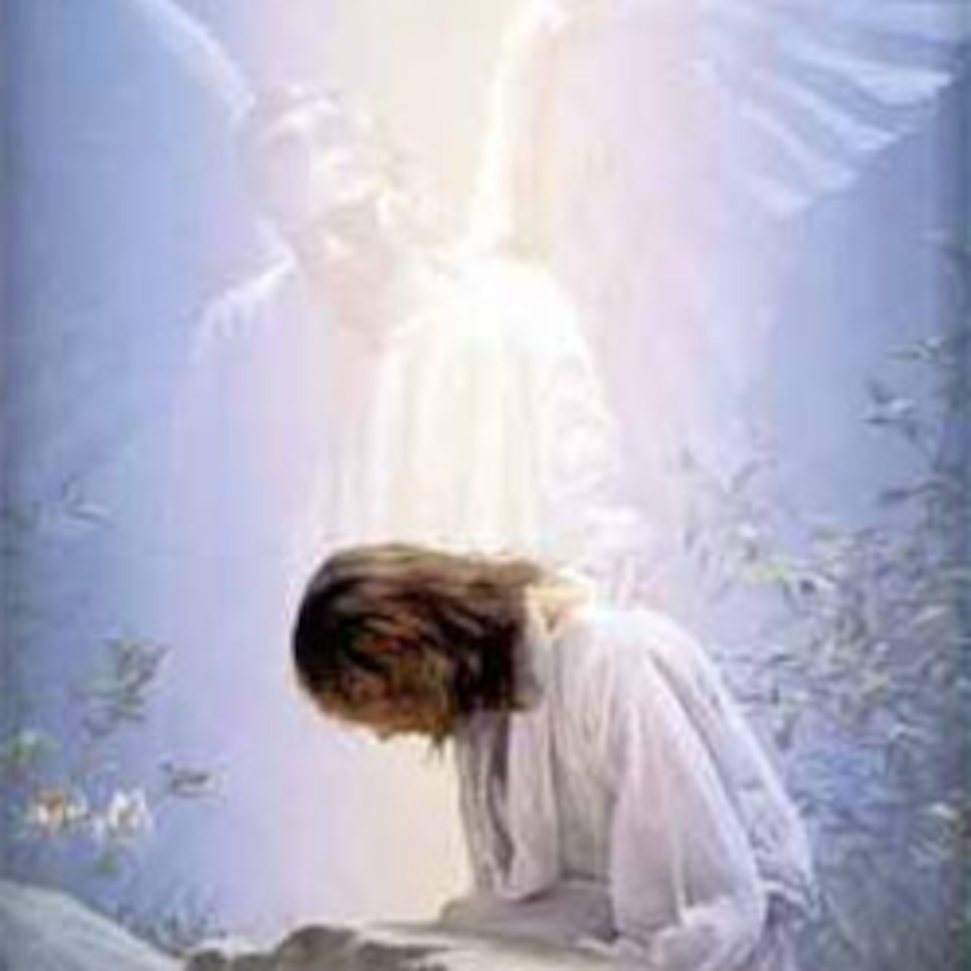 PROGRAMA DE UNA HORA VERITAS