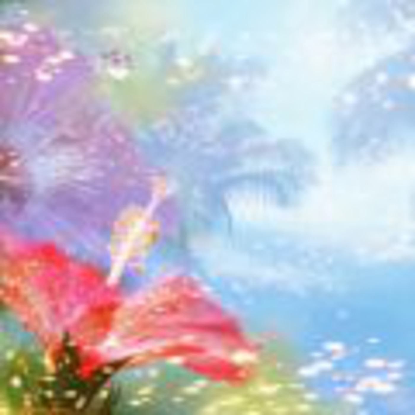 GRABACION DE UN PROGRAMA 6O MIN