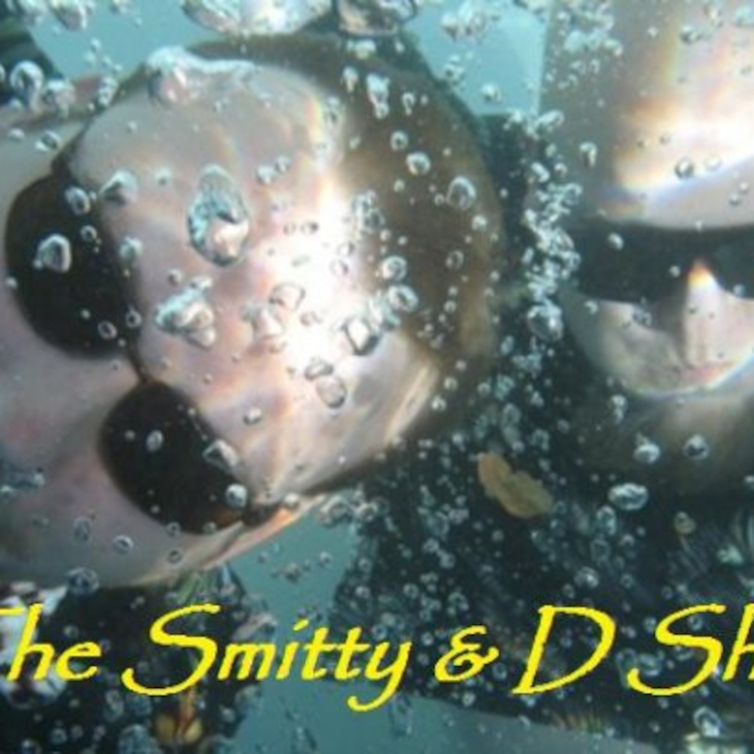 The Smitty and D Show w/ The Holophonics