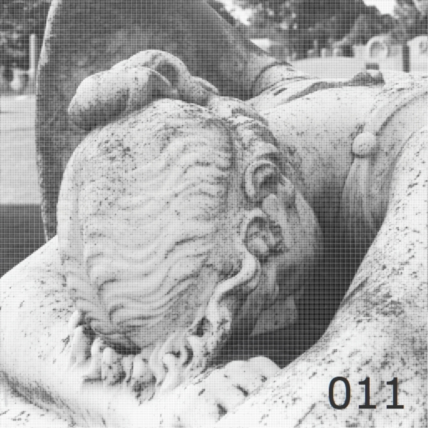 JNT DS J-Tech 011 Grieve No More