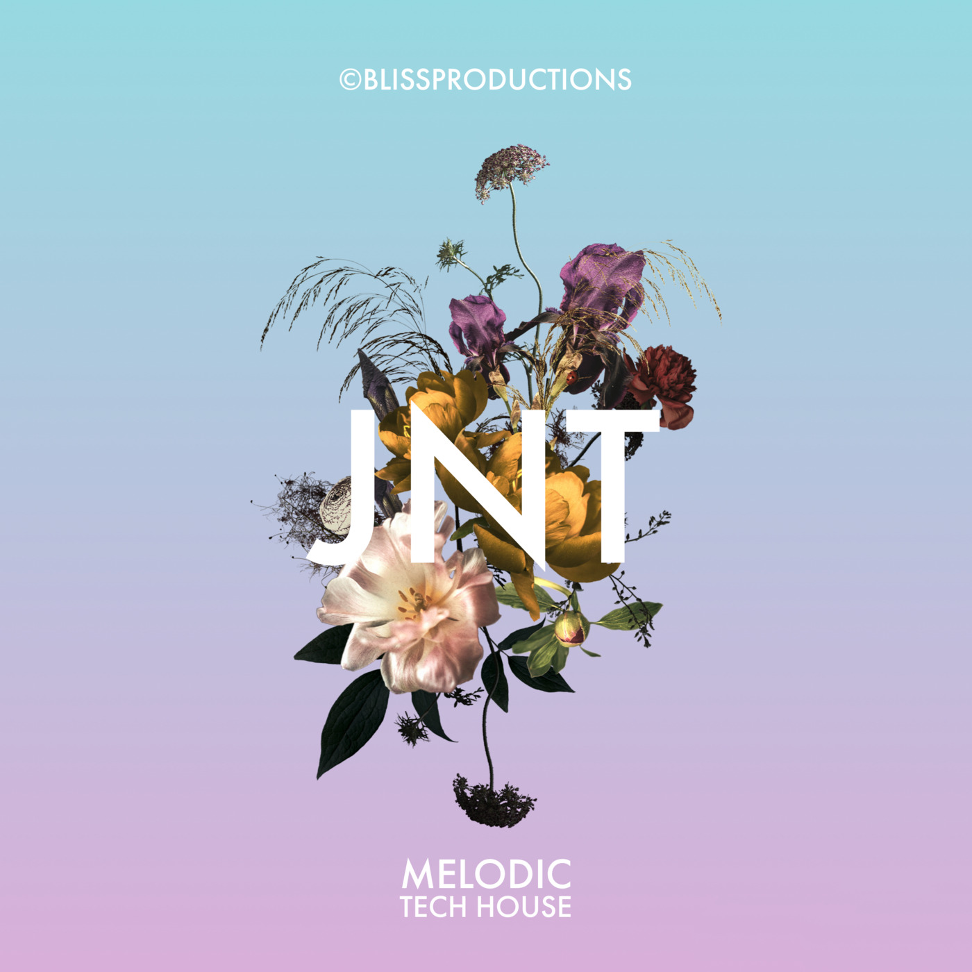 Episode 133: JNT Melodic Tech House V.1 21