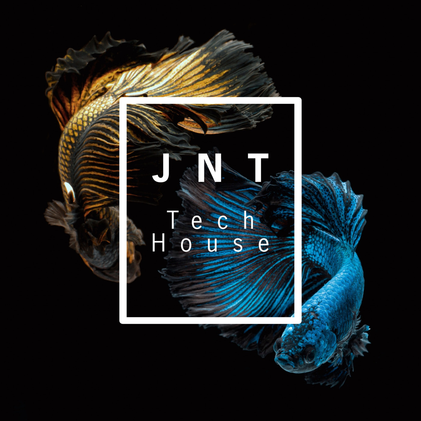 Episode 138: JNT Tech House 3 Episode 138 - Dance Again