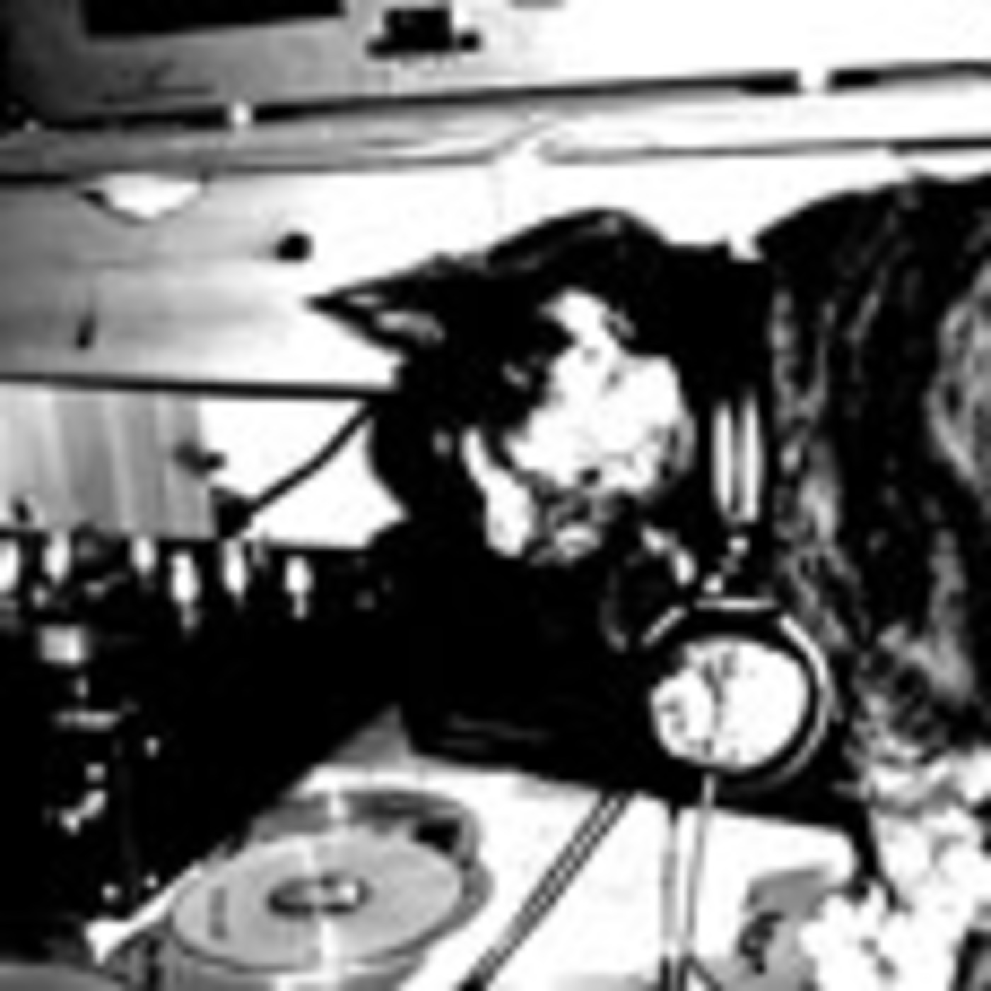 DJ THUNDERKUNT - ELEKTROKATZE
