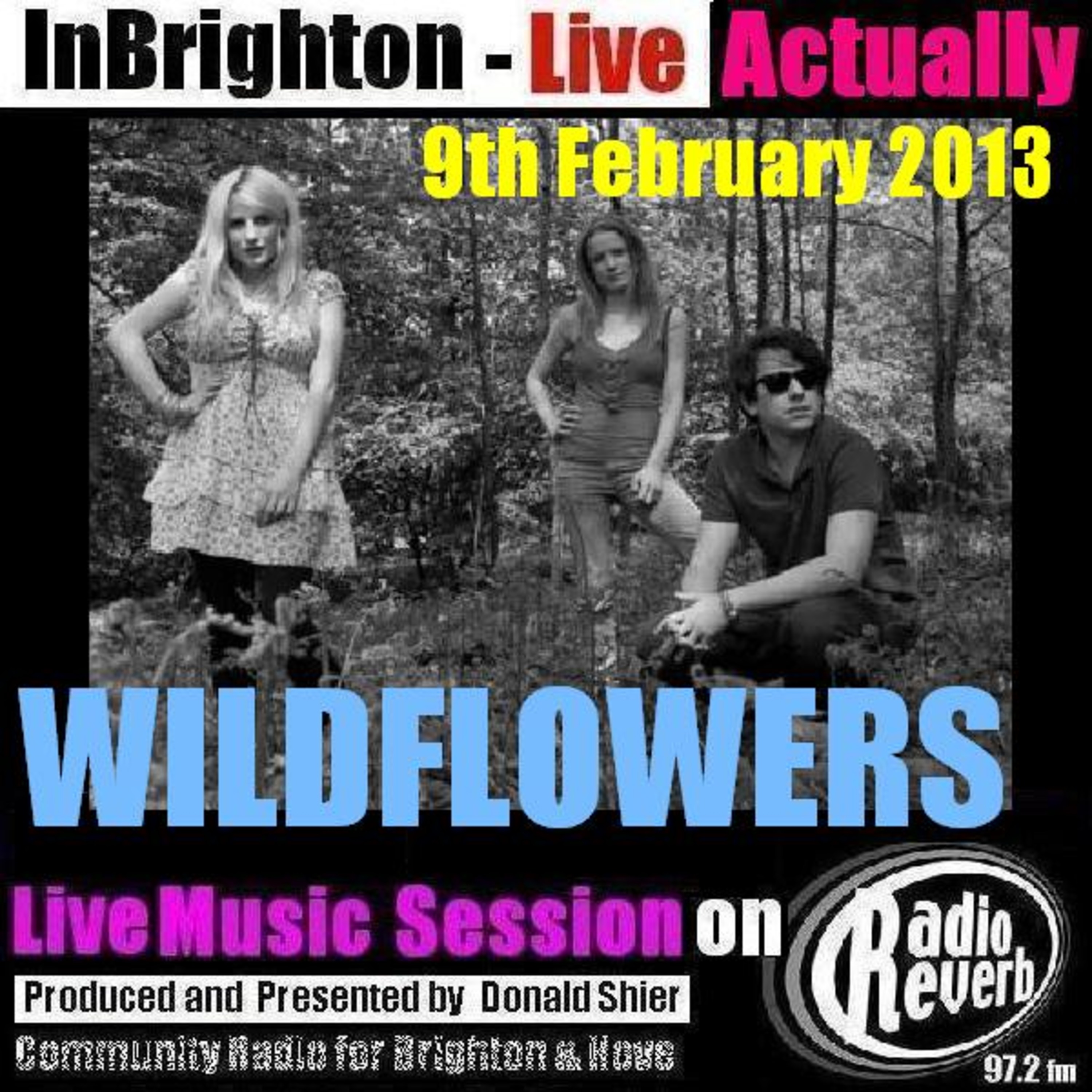 Wildflowers (Band) Live episode artwork