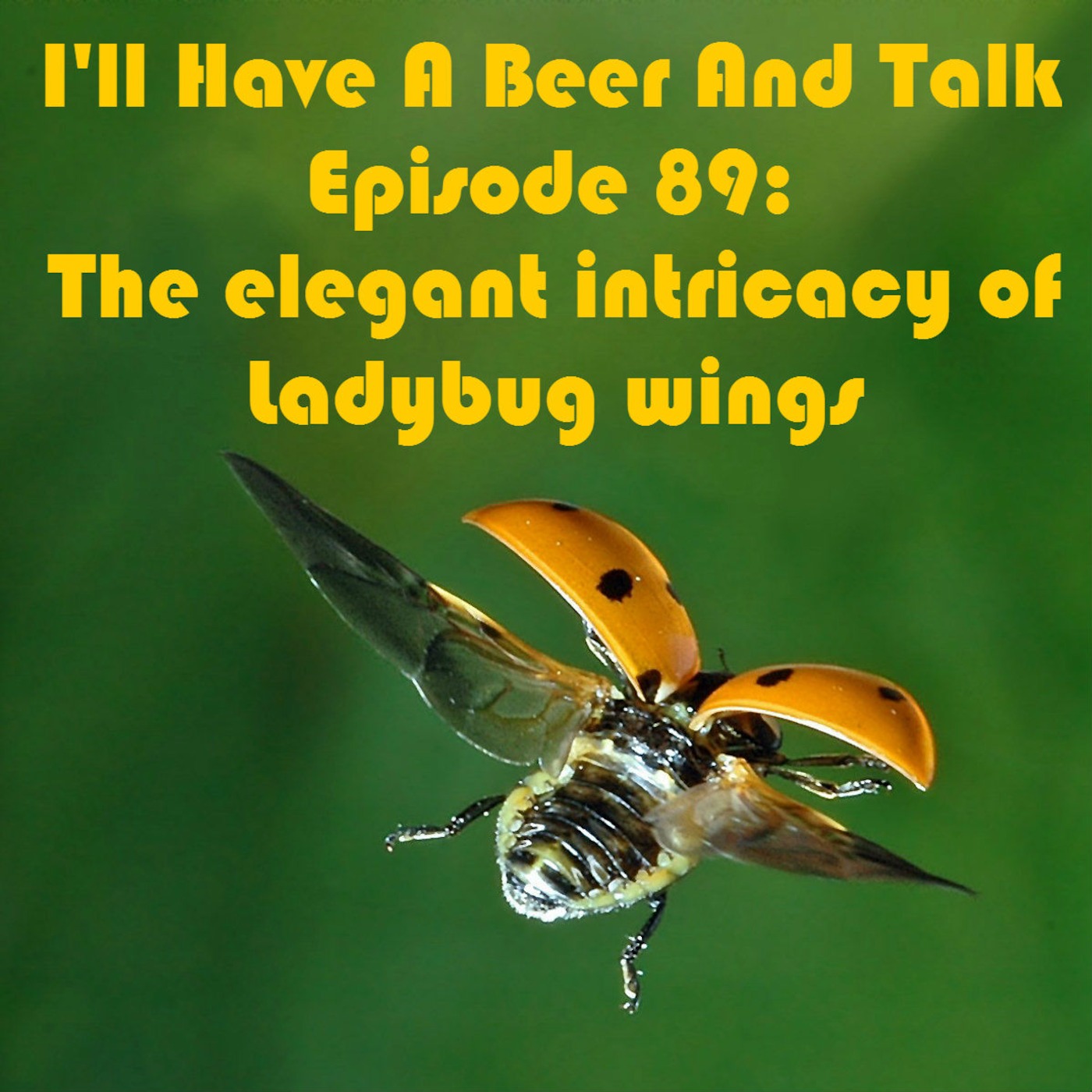 I'll Have A Beer And Talk Episode 89: The intricacy of Ladybug wings