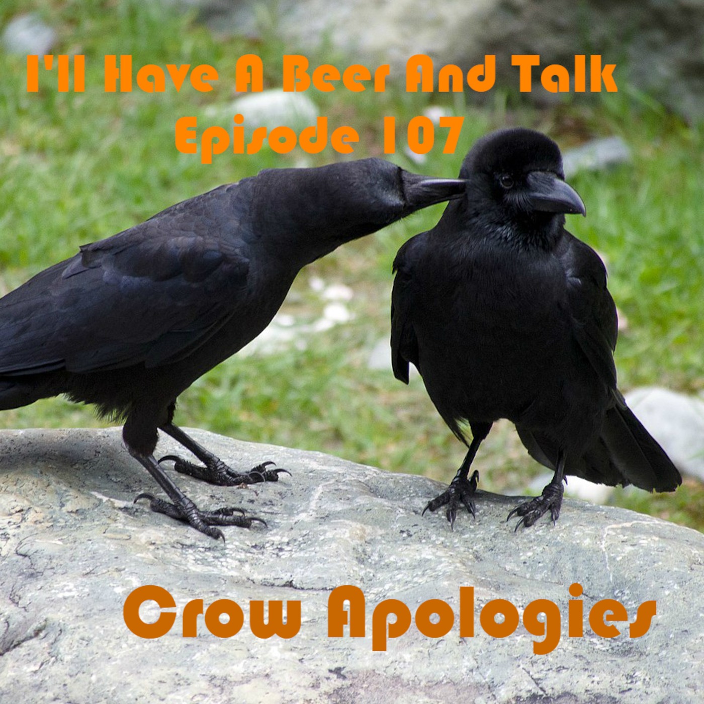 I'll Have A Beer And Talk Episode 107: Crow Apologies