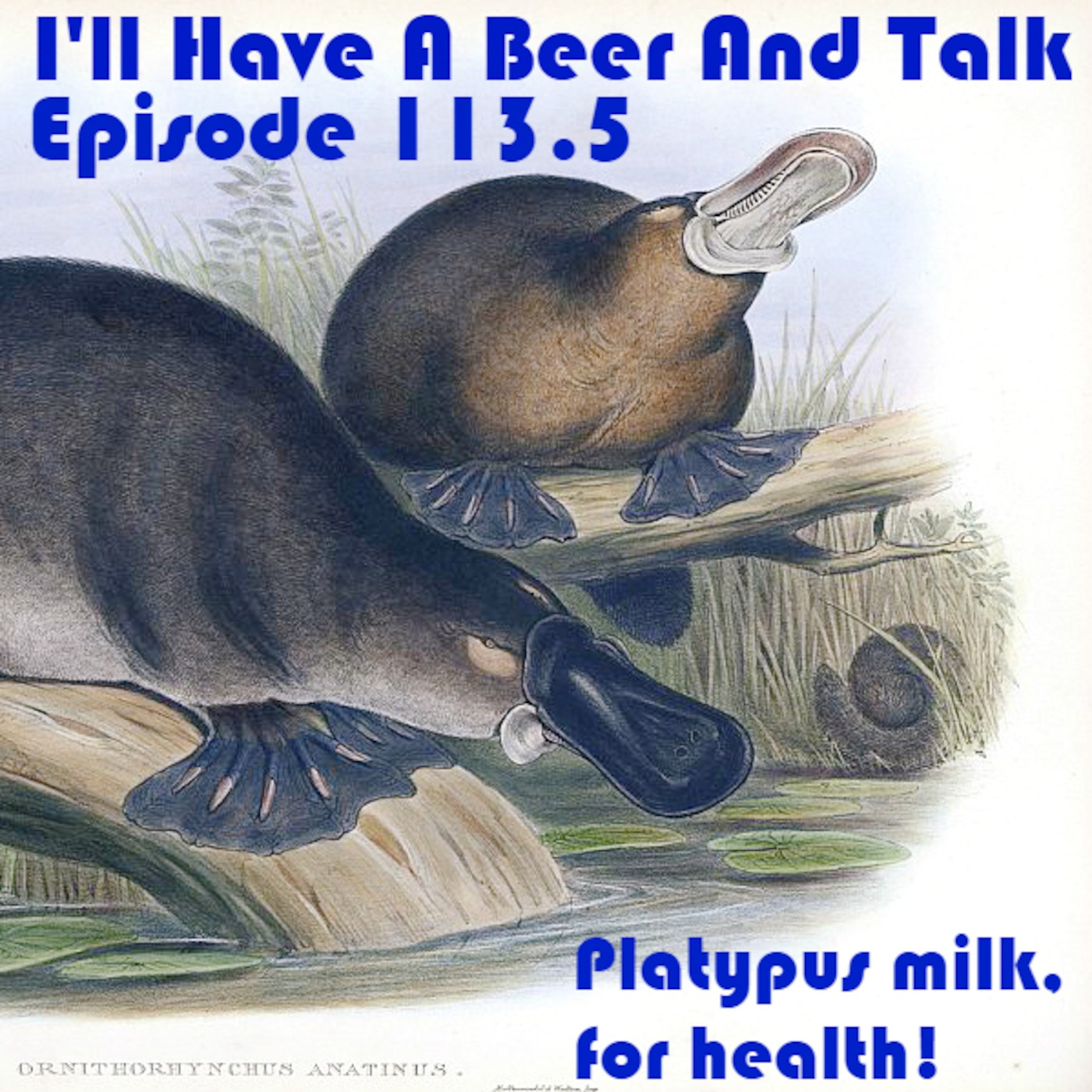 I’ll Have A Beer And Talk Episode 113.5: Platypus milk, for health!