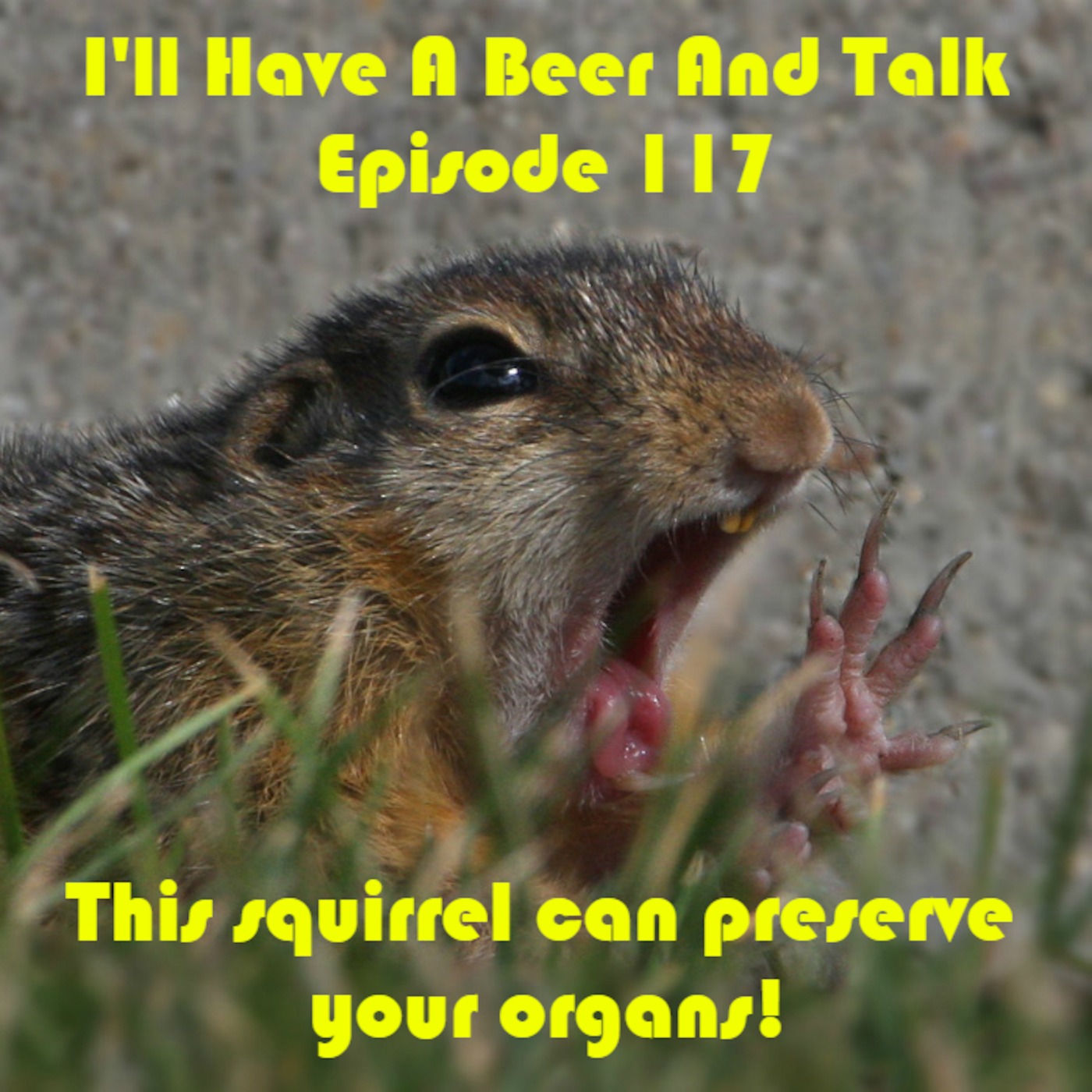 I'll Have A Beer And Talk Episode 117: This squirrel can preserve your organs!