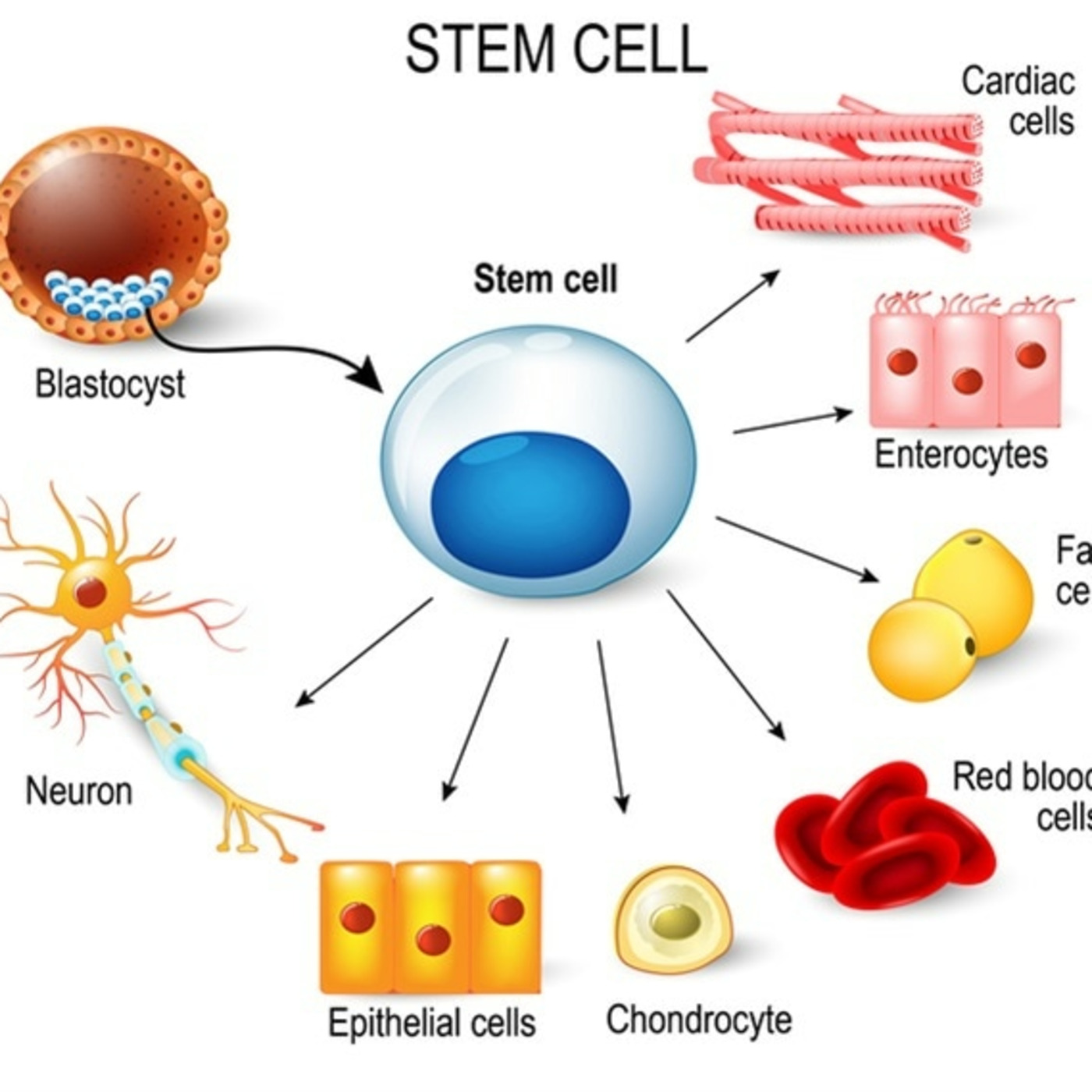 Episode 252: GRAPHENE OXIDE, BORFERS, BIDEN, GLUTATHIONE episode artwork