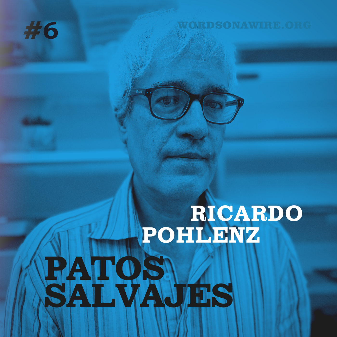 Episode 6: Ricardo Pohlenz episode artwork