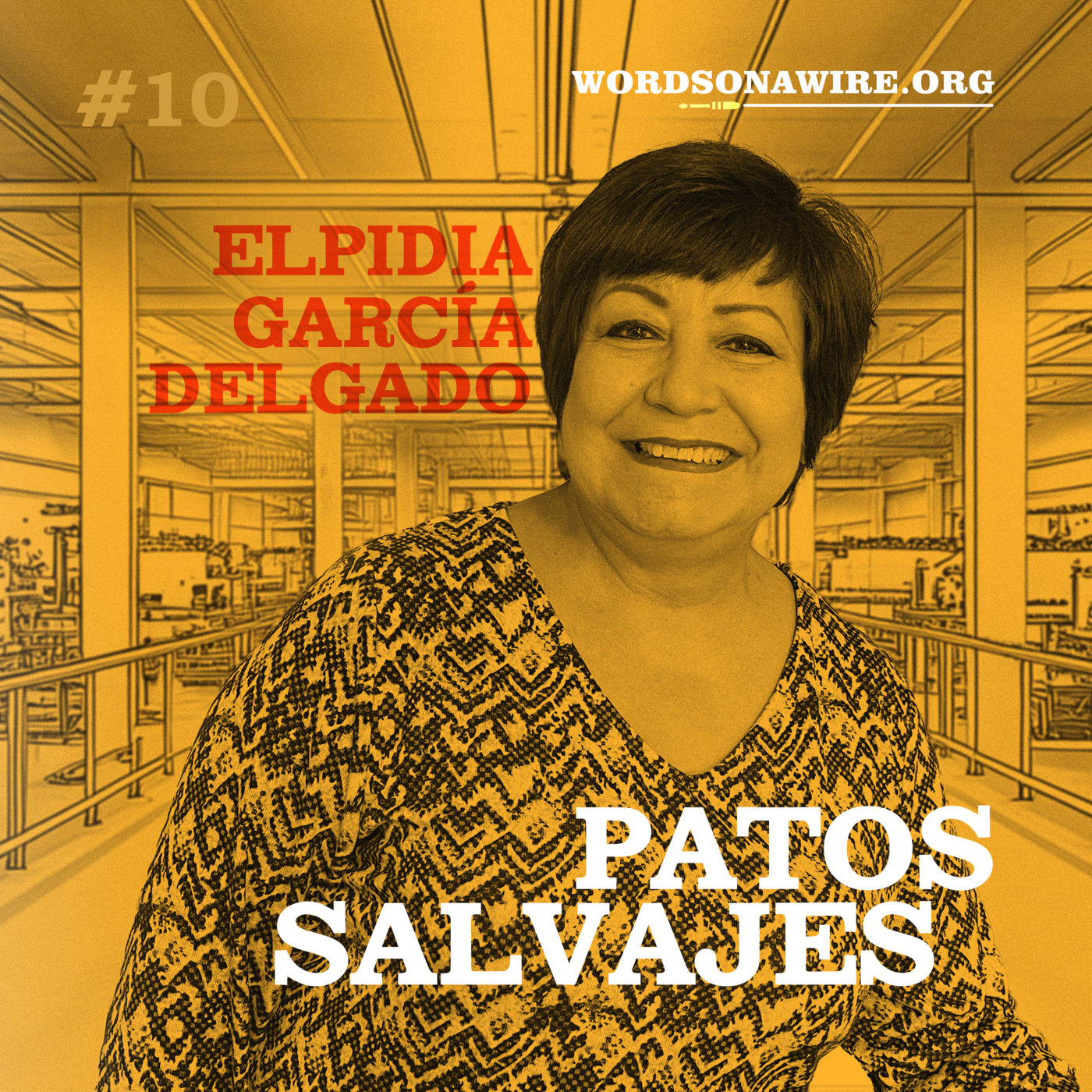 Episode 10: Elpidia García Delgado episode artwork