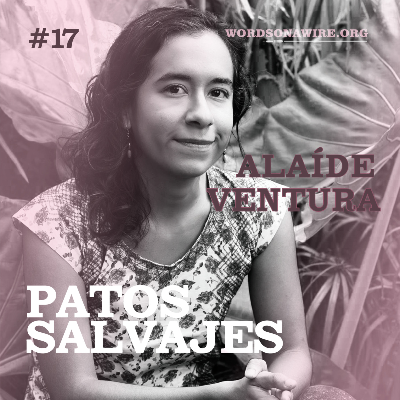 Episode 17: Alaíde Ventura episode artwork