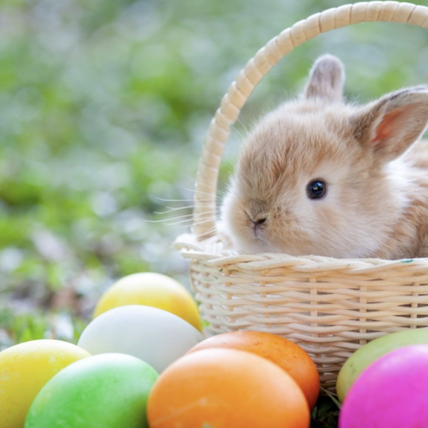 Tech Break with Mr. C