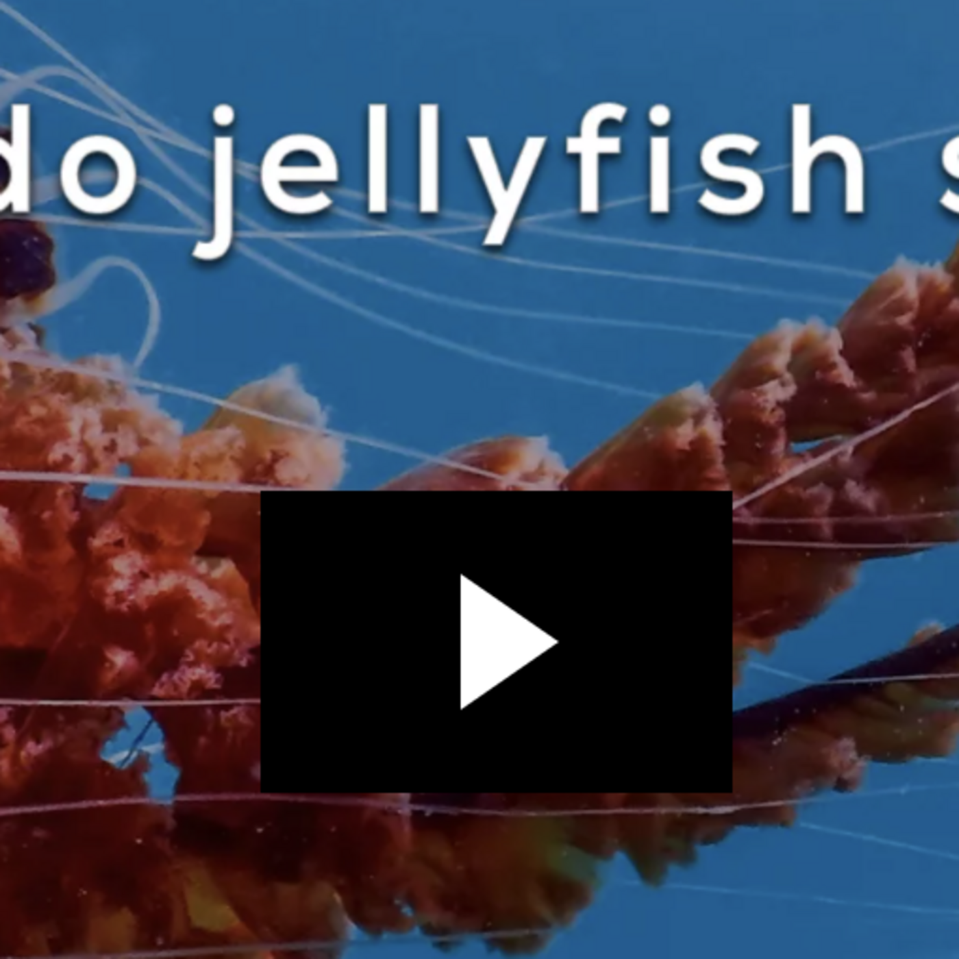 Tech Break with Mr. C