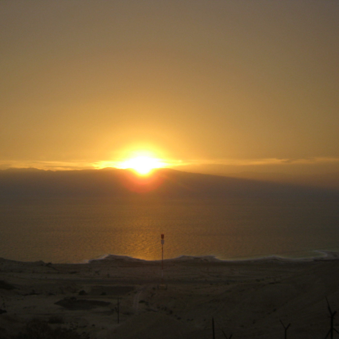 The Thrill of Hope Part 6: A Song of God's Hopeful Kingdom