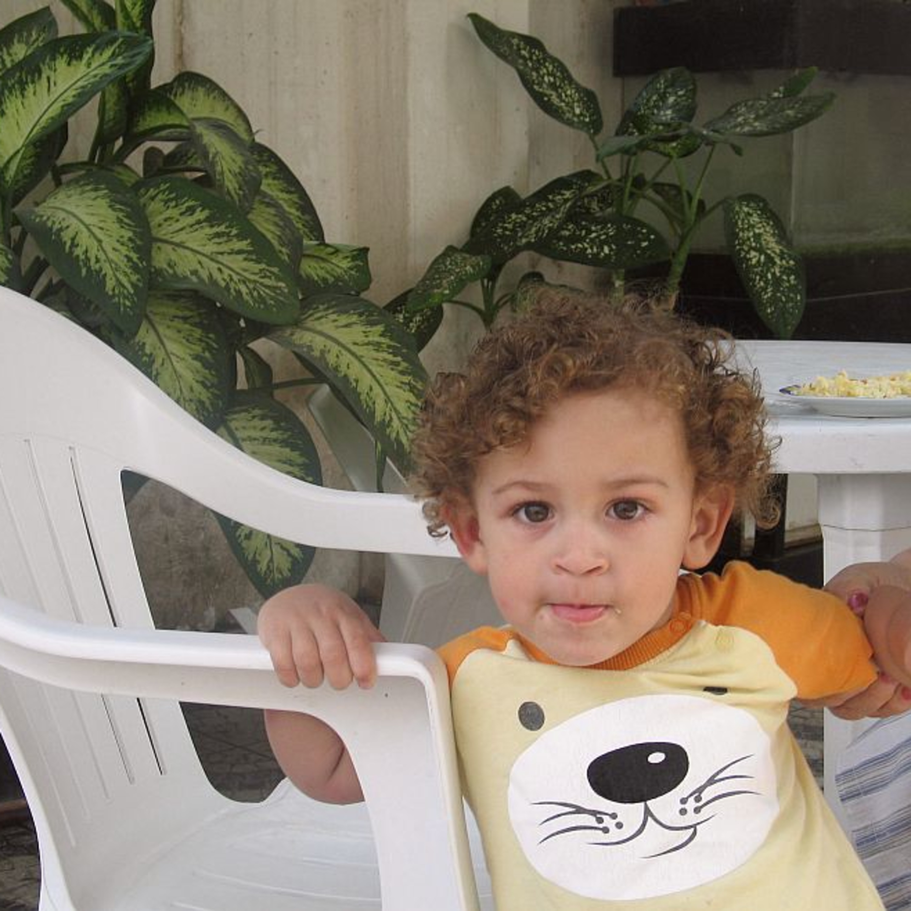 Os Kandengues do Tio Kim!!!