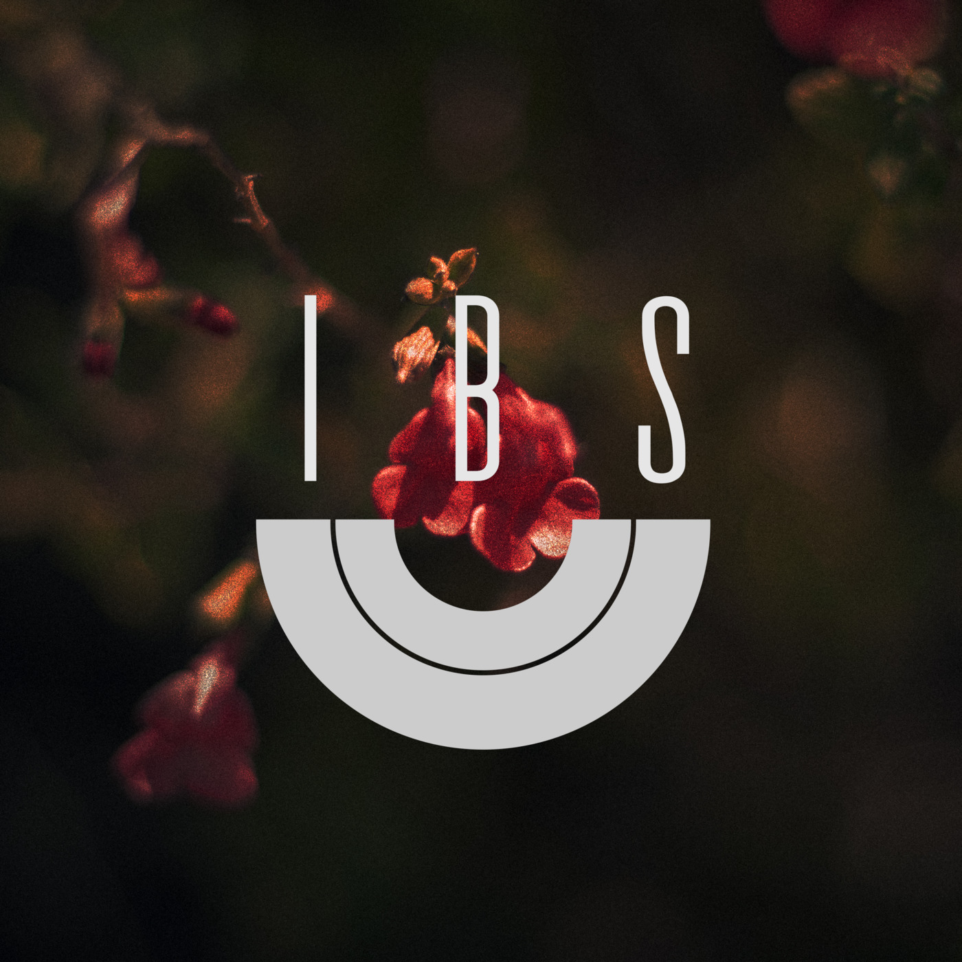 Inspire by Sound