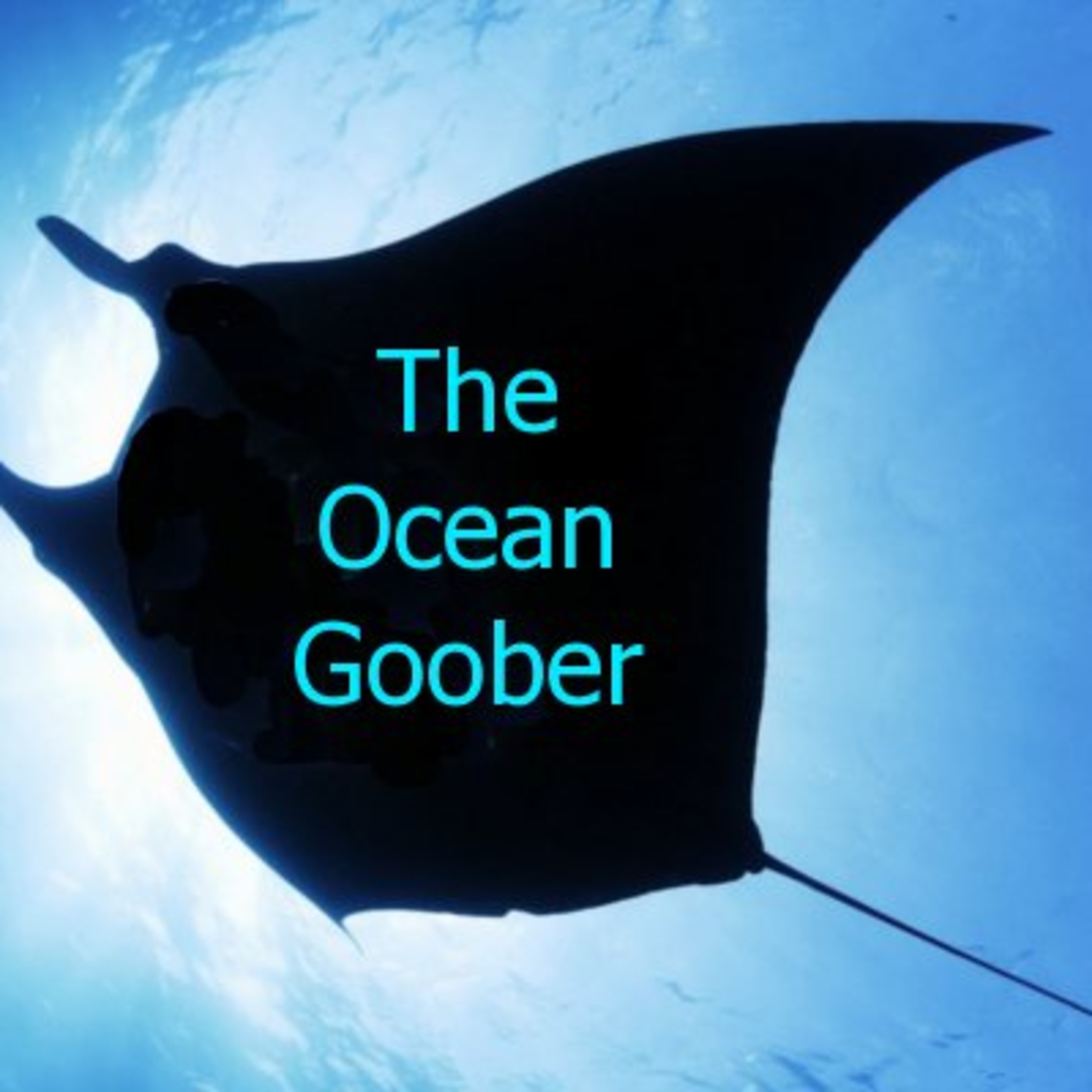 The Ocean Goober