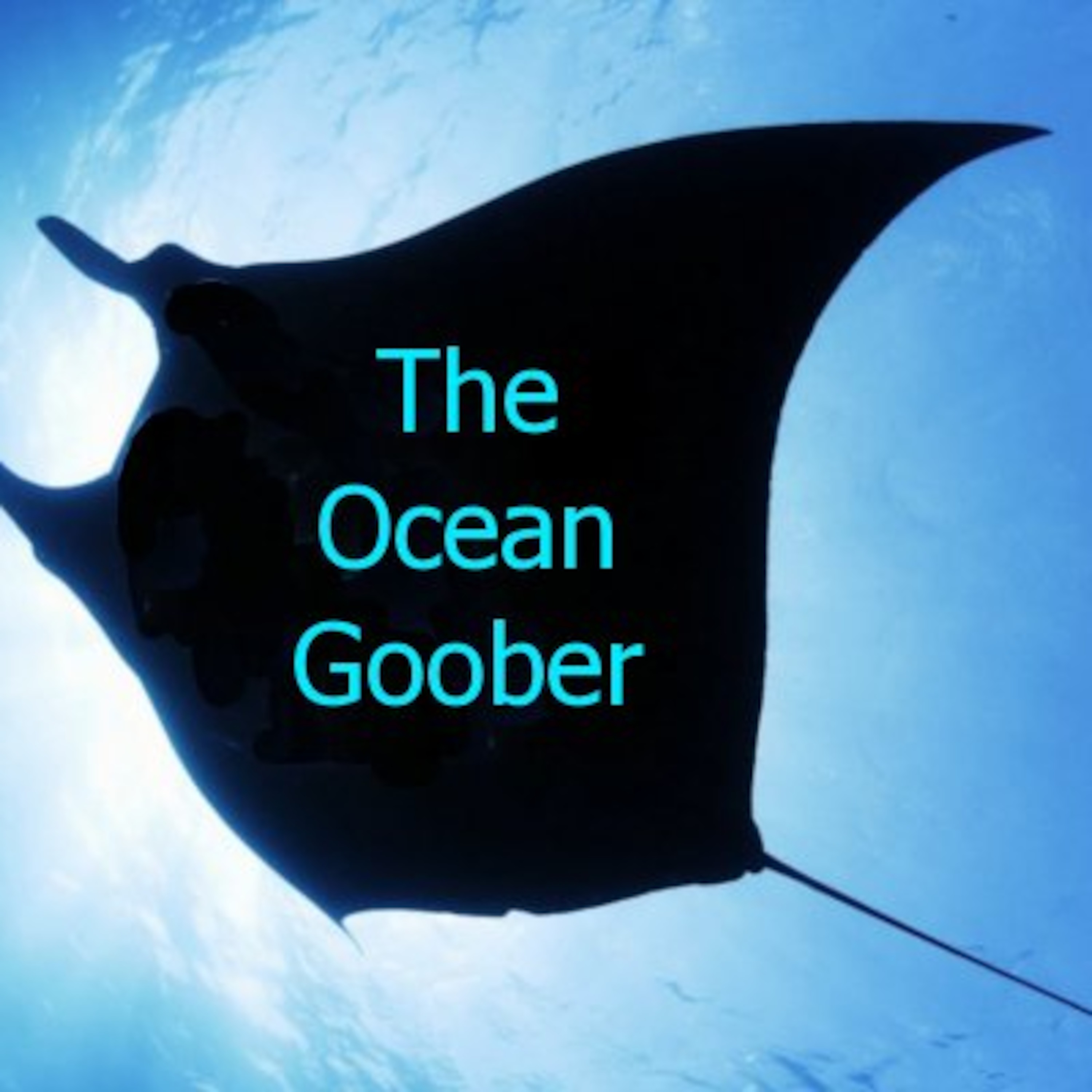 The Ocean Goober