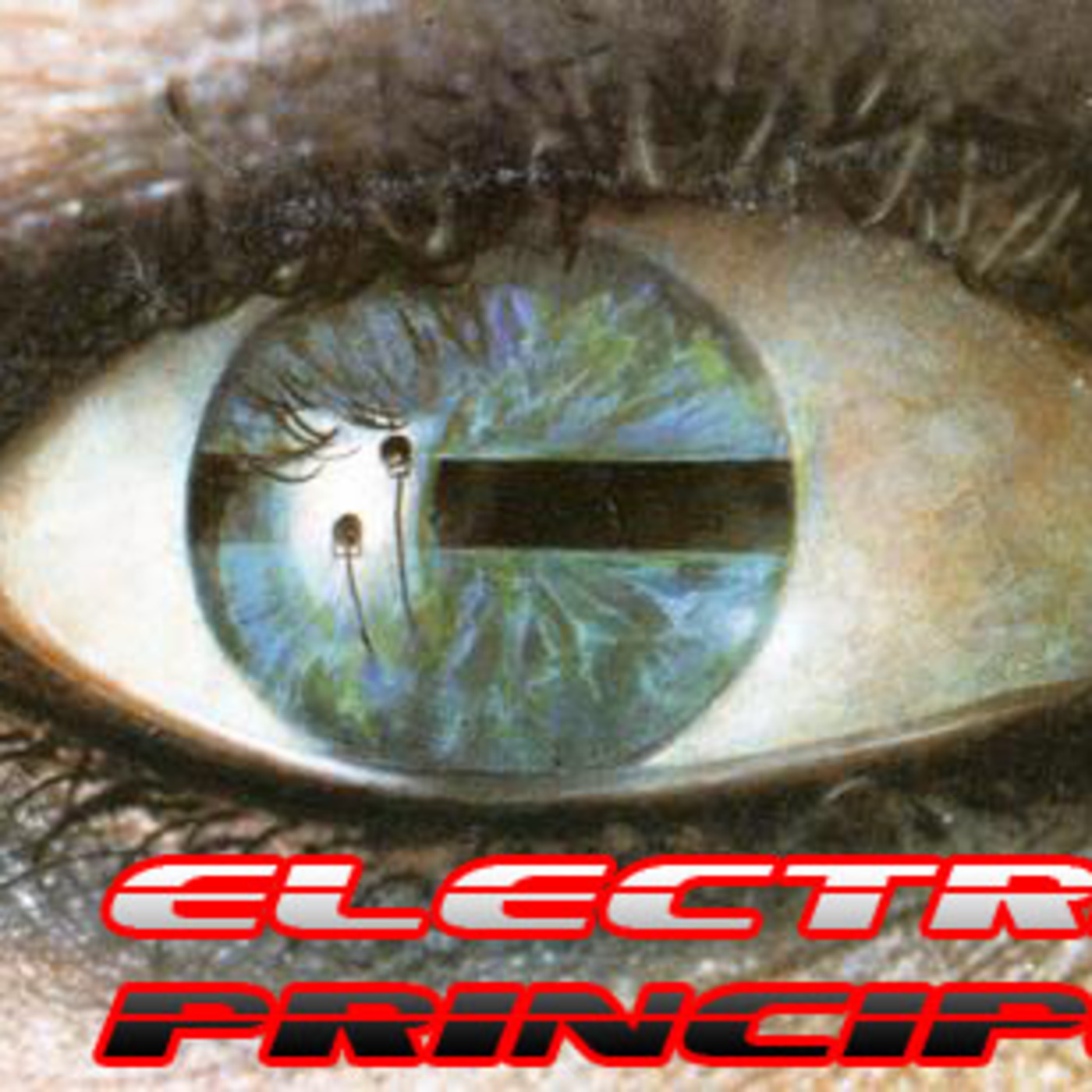 Episode 8: Electric Principles 7th February 2021