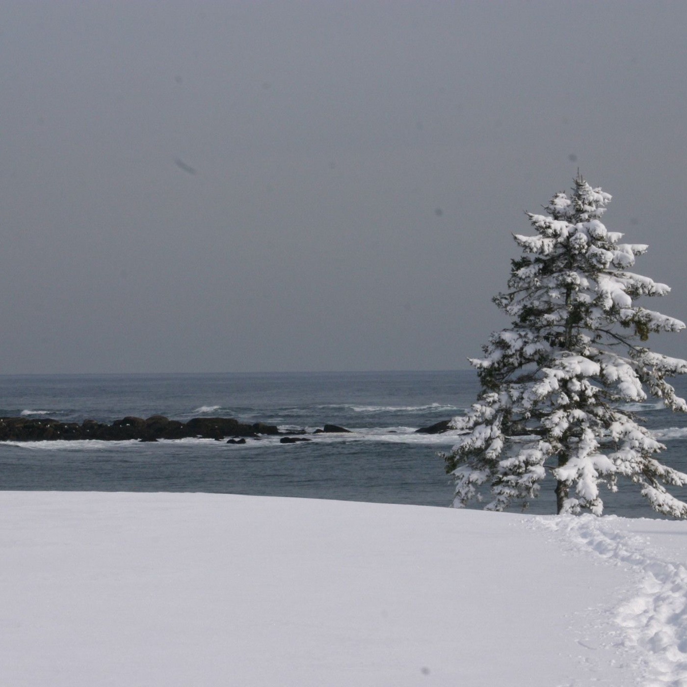 Seven Pages of Solitude