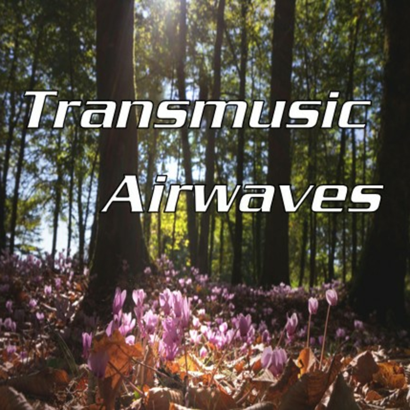 Transmusic Airwaves