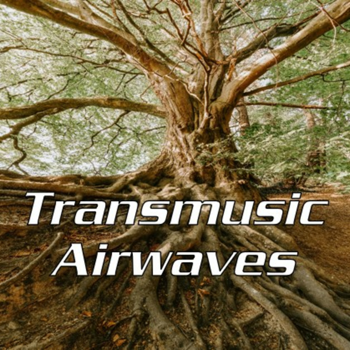 Transmusic Airwaves