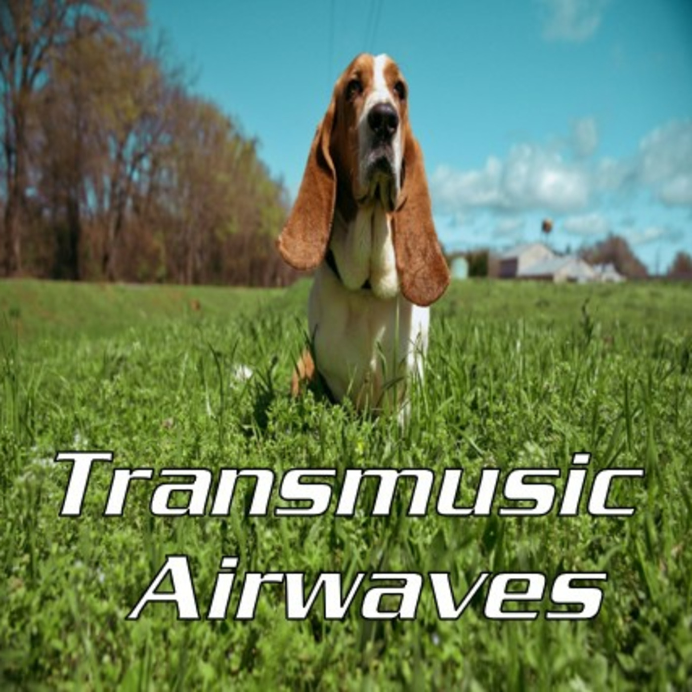 Transmusic Airwaves