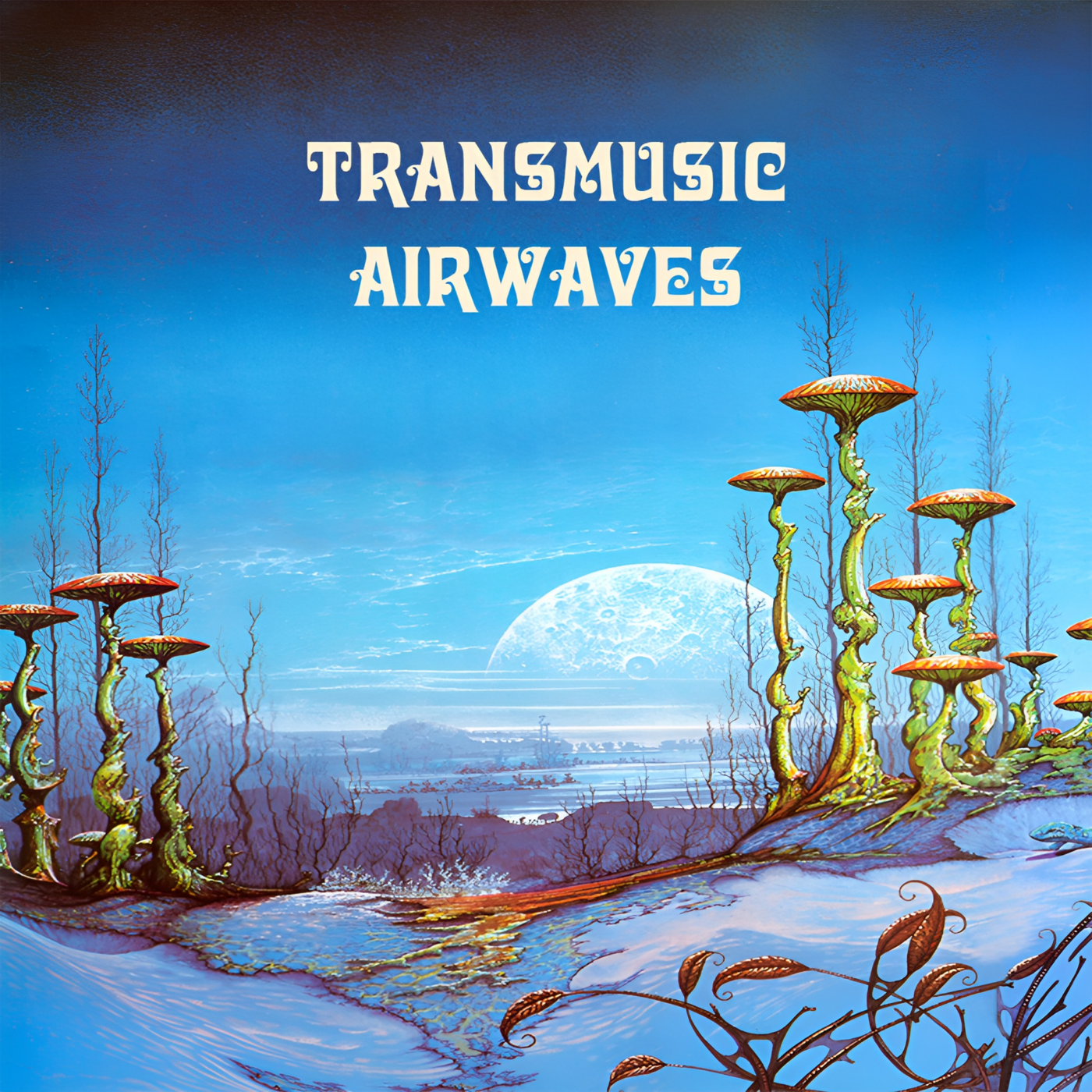 Transmusic Airwaves
