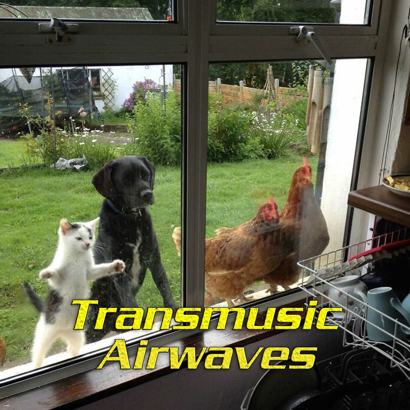 Transmusic Airwaves