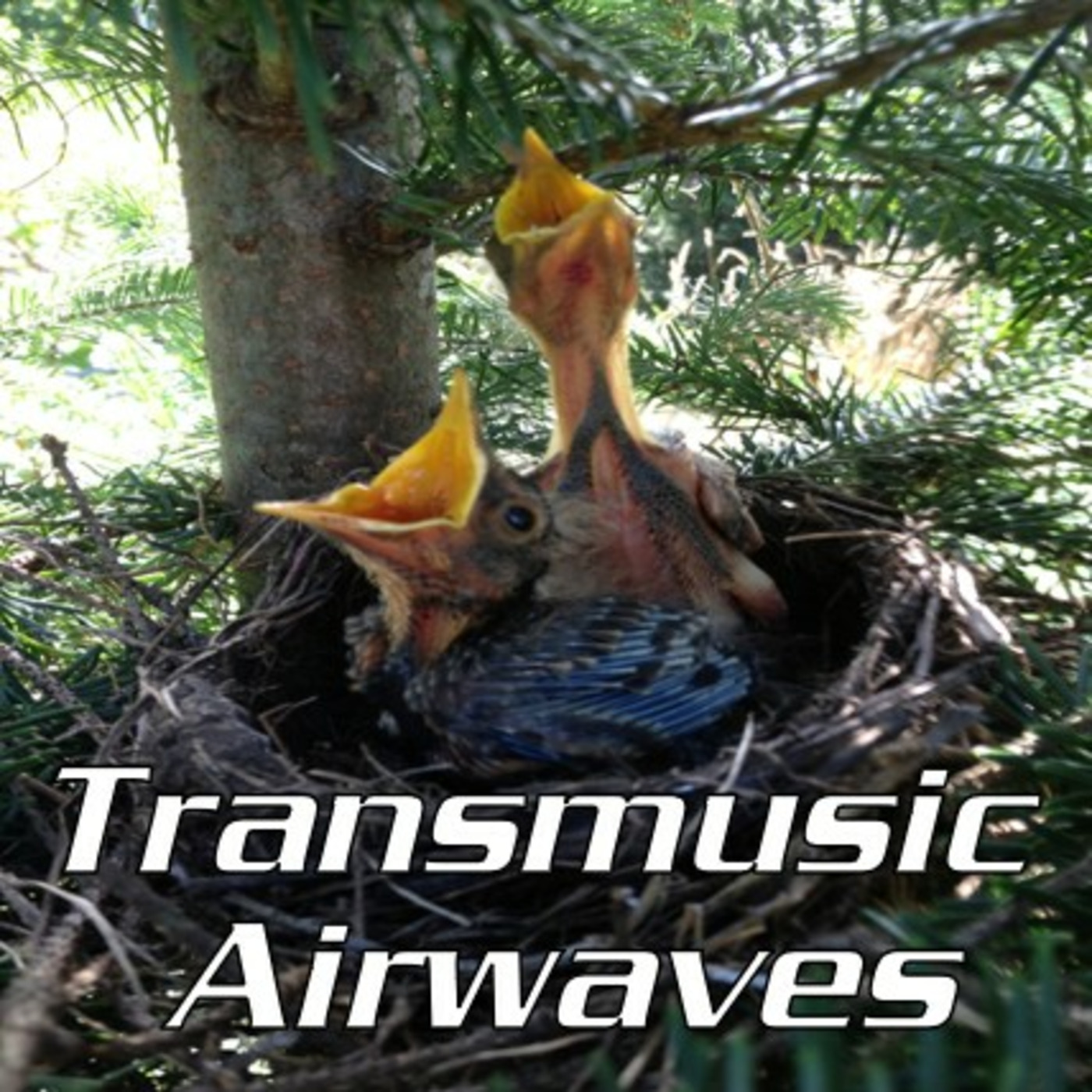 Episode 695: Transmusic Airwaves Collaborative episode artwork