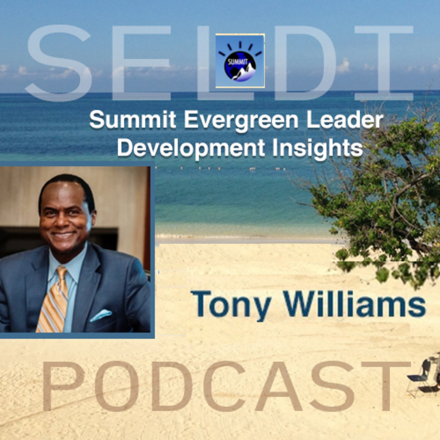 SELDI Podcast with Tony Williams