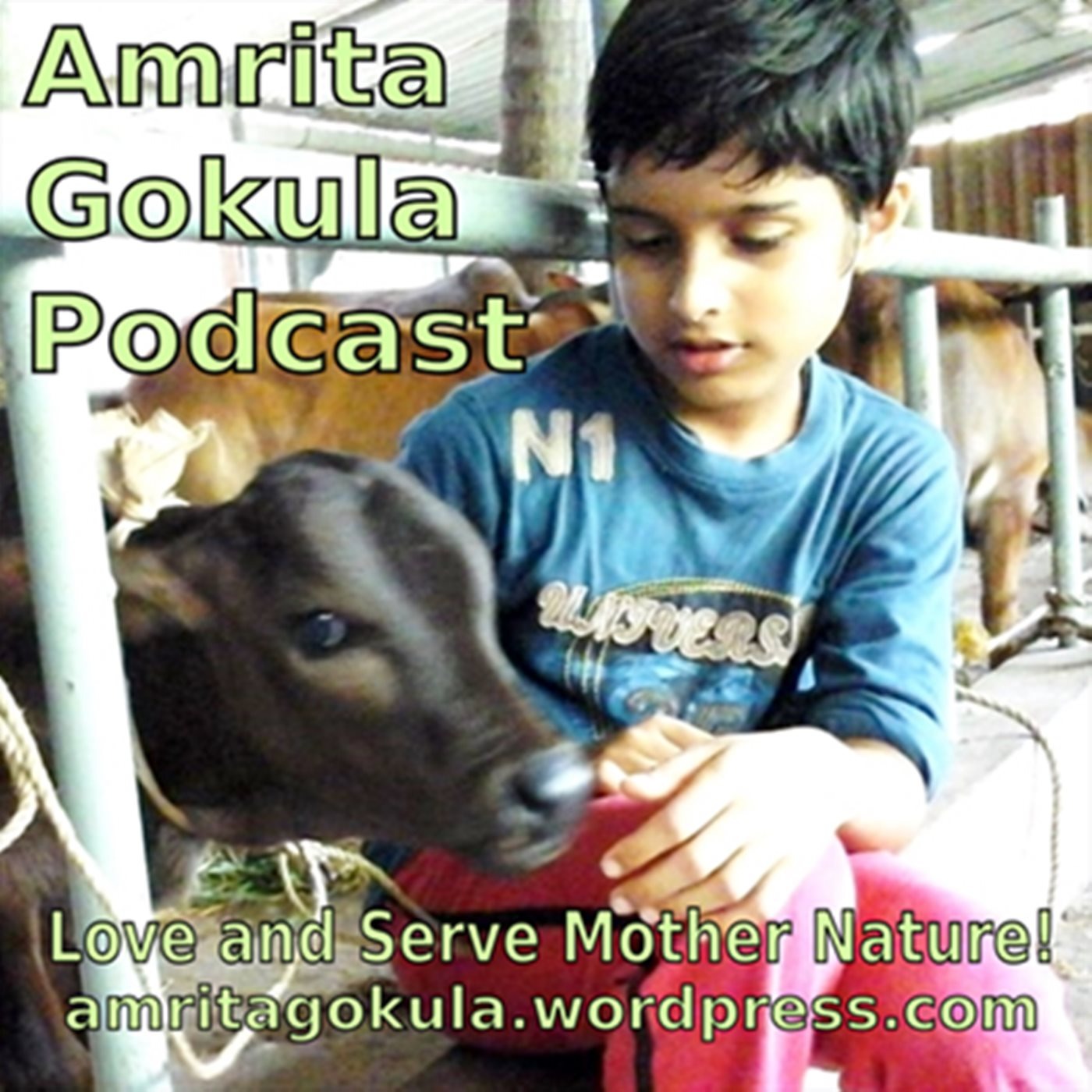 Amrita Gokula Podcast