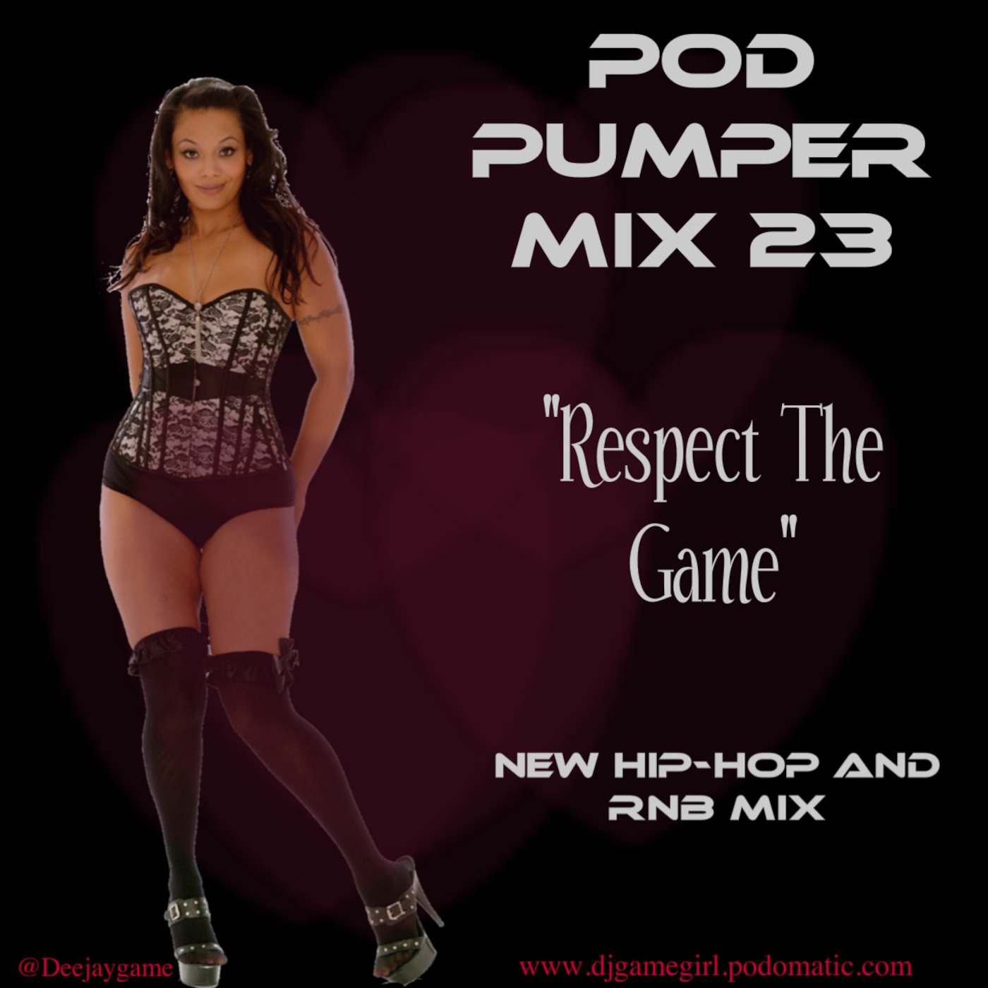 Dj Gamegirl-Western Canada\'s Mixen Vixen