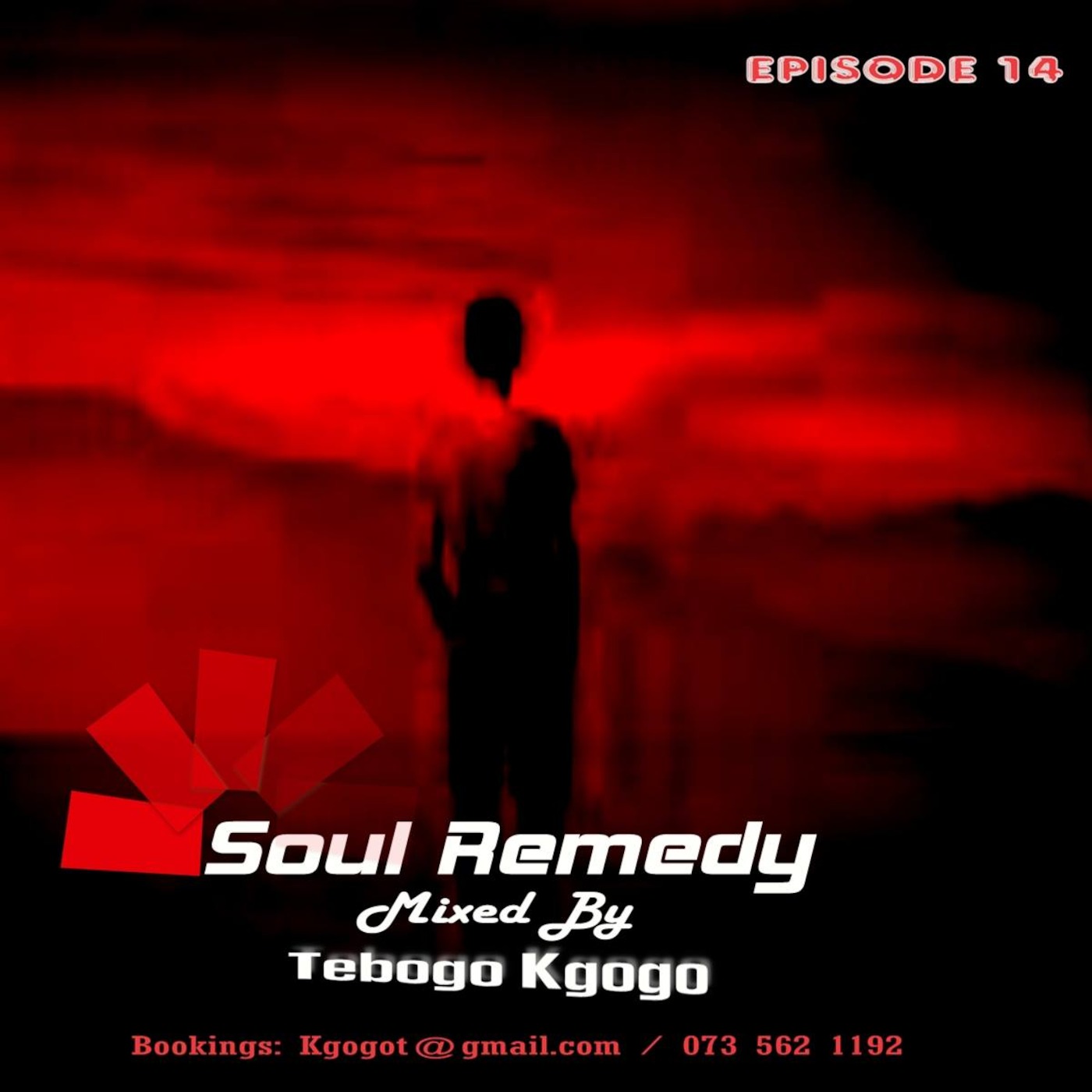 Soul Remedy Episode 14 By Tebogo Kgogo