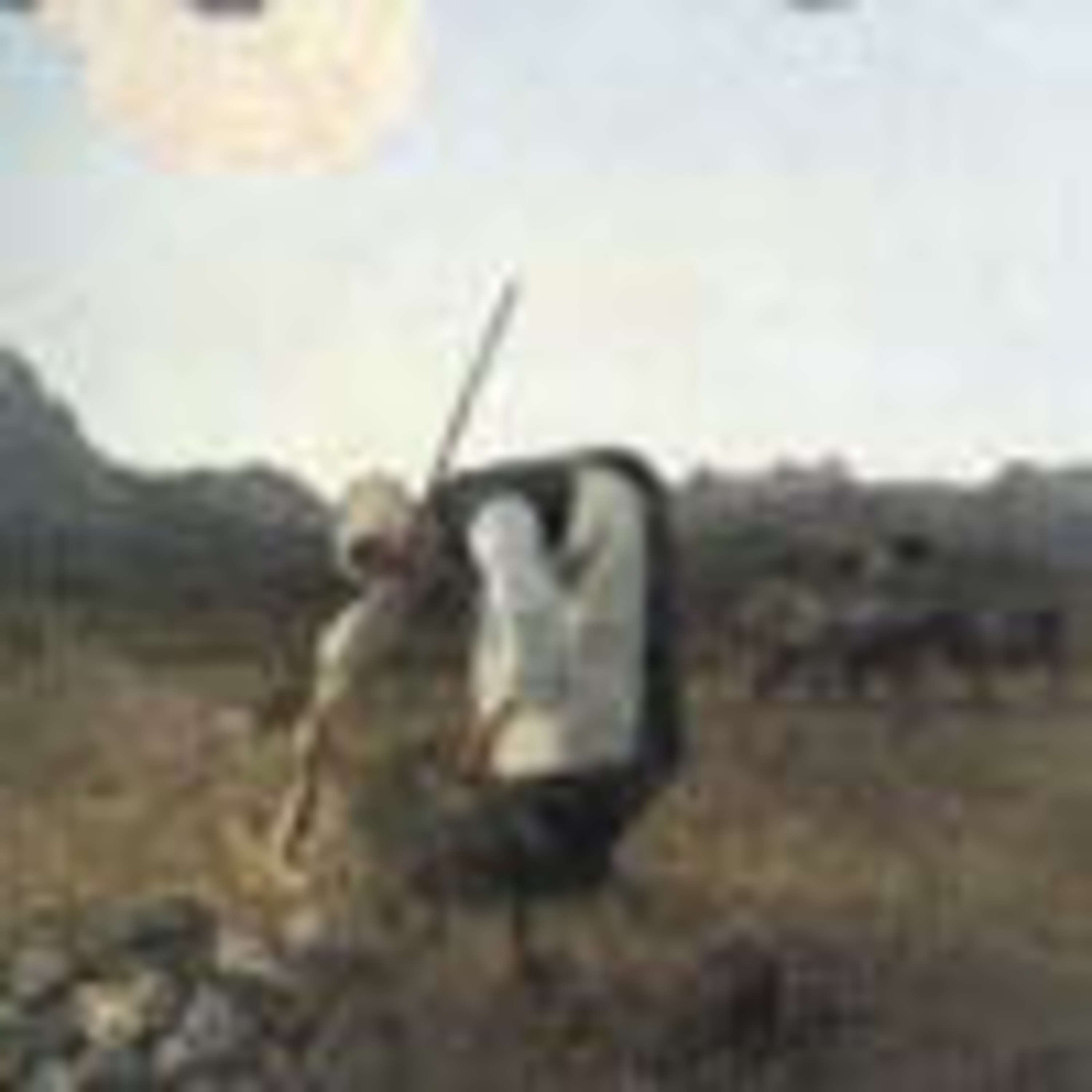 English as a foreign language podcast