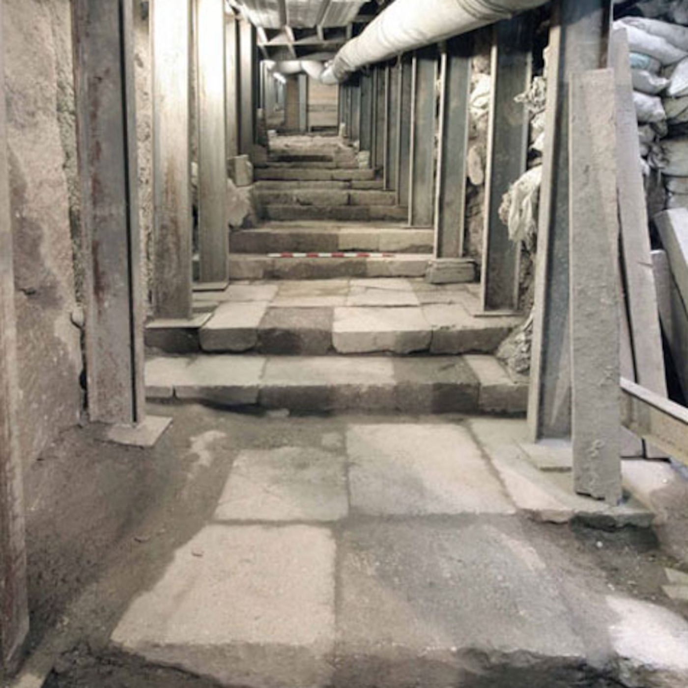 Bread NEWS 06 - 'Road to the Temple Mount uncovered'; 'Monsanto 'Terminator Technology'' & 'Haiti Christians 'Miracle' Survival '