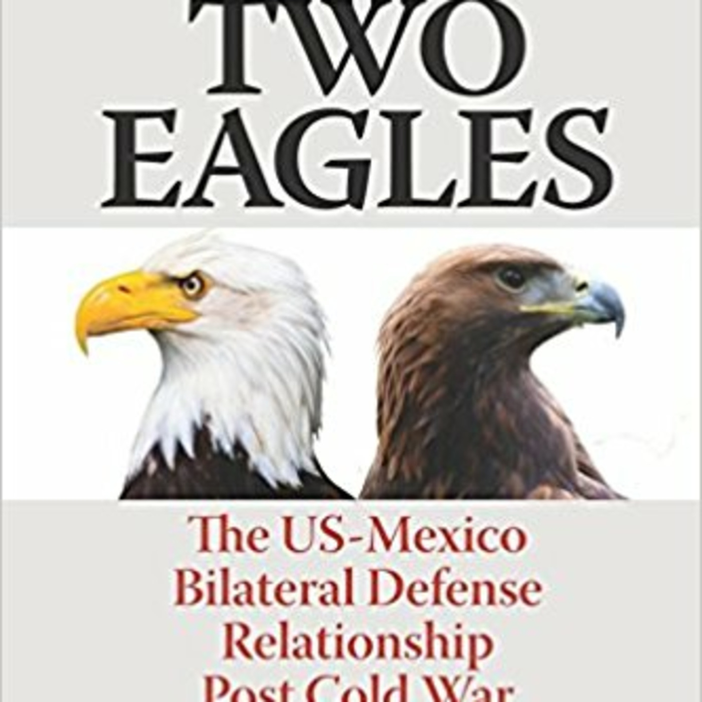 Episode 24: Dr. Craig Deare on US-Mexico Defense cooperation, A Tail Of Two Eagles