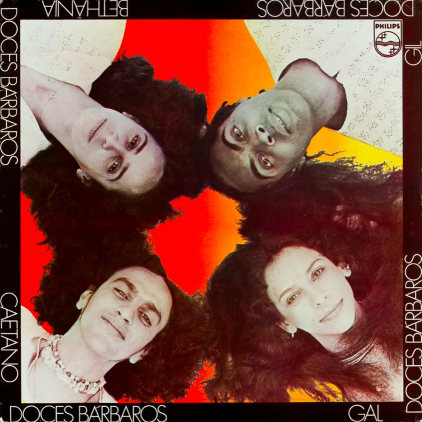 365 LPs