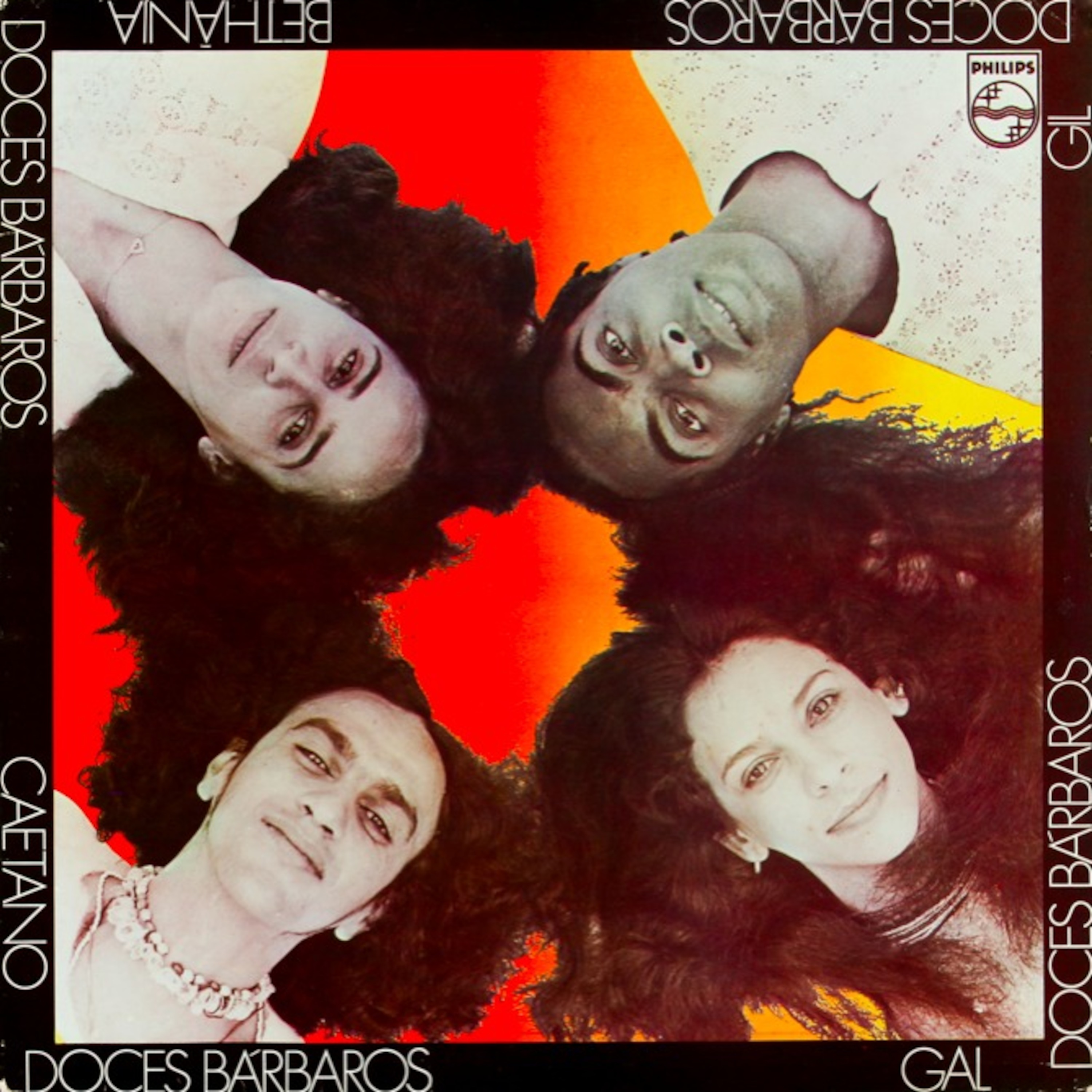 365 LPs