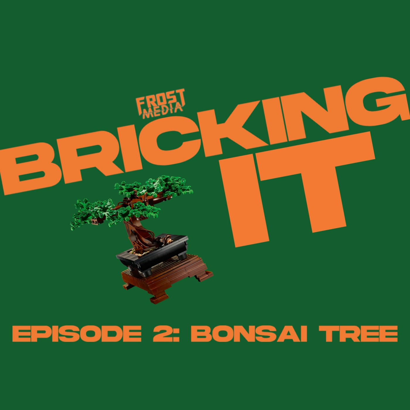 #2: Bonsai Tree
