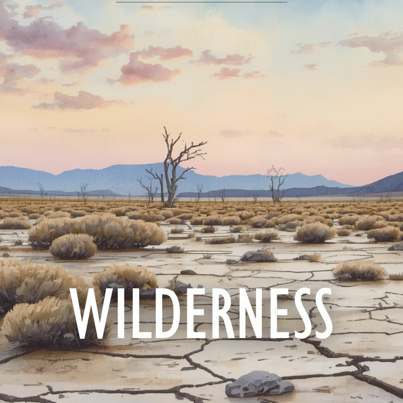 wilderness (a song of lament)