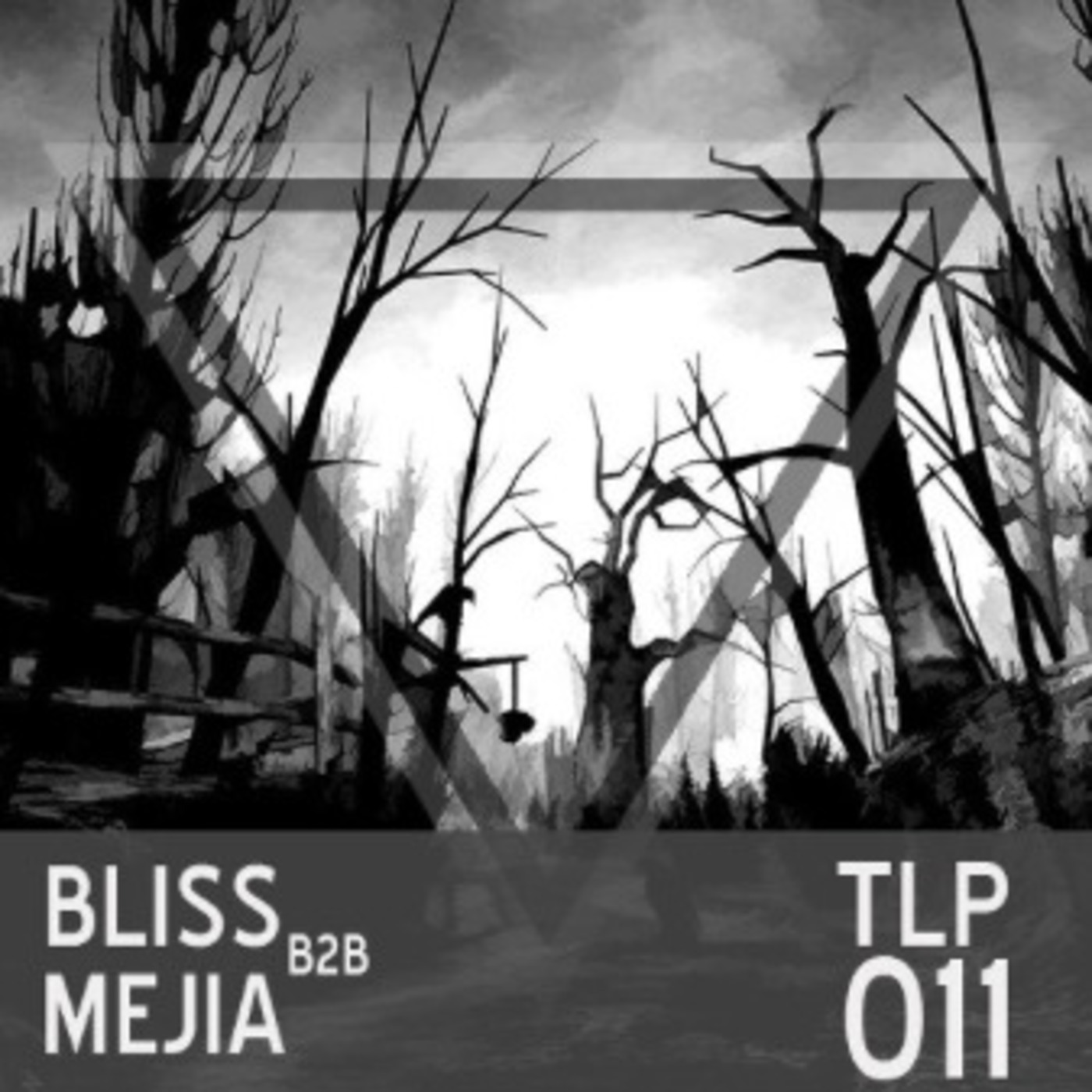 TLP011 Bliss b2b Mejia