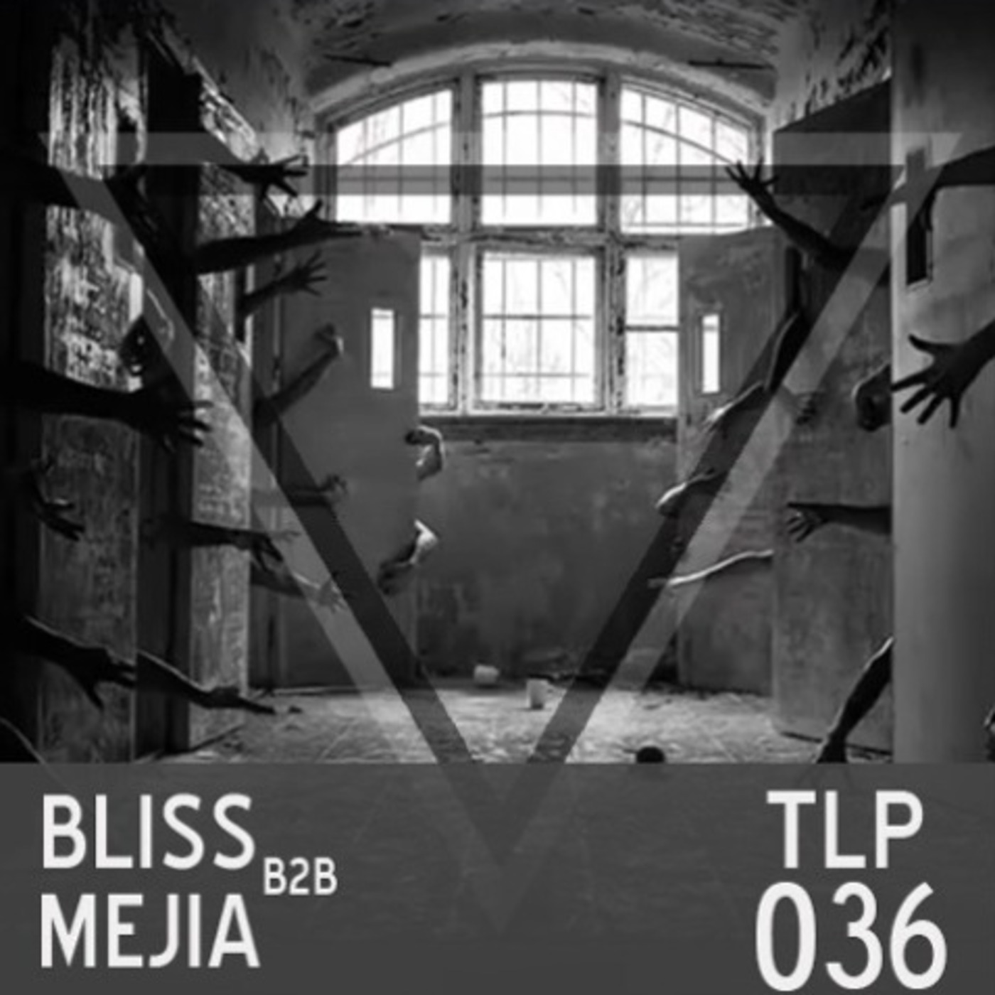TLP036 Bliss b2b Mejia
