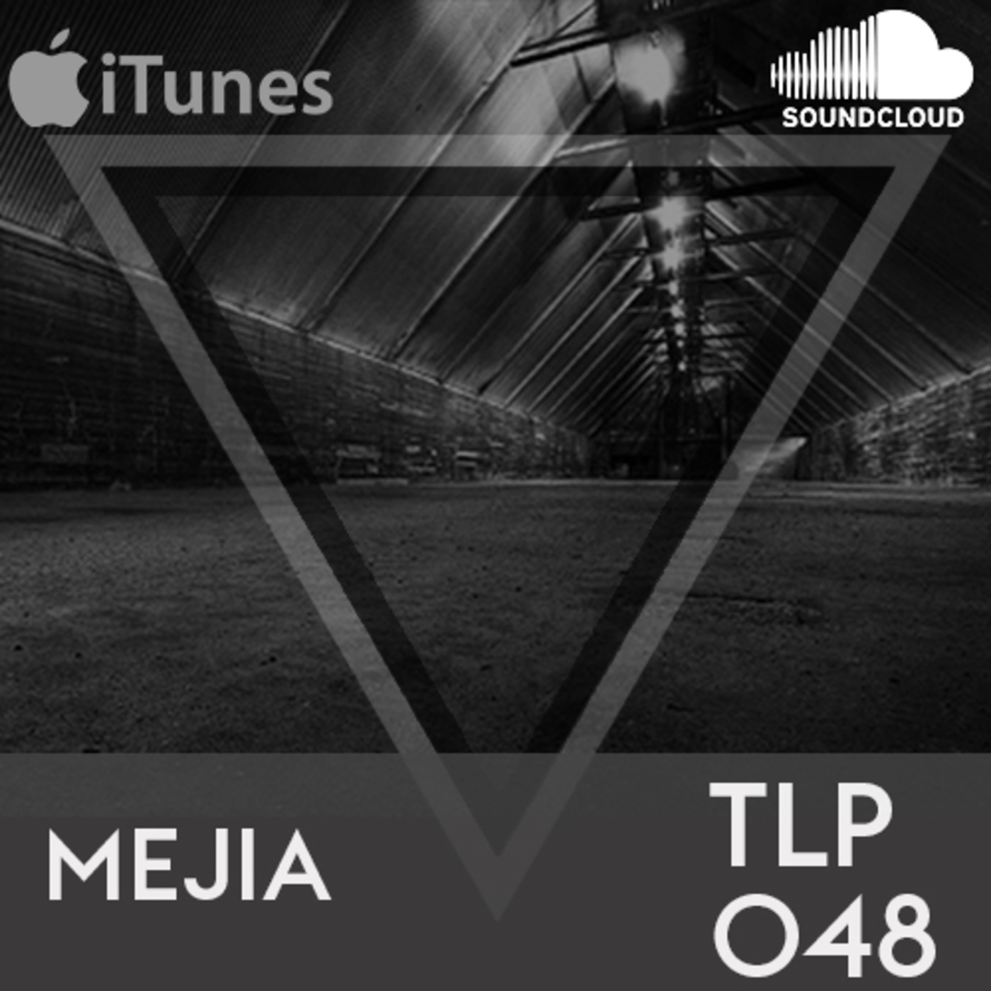 TLP048 Mejia