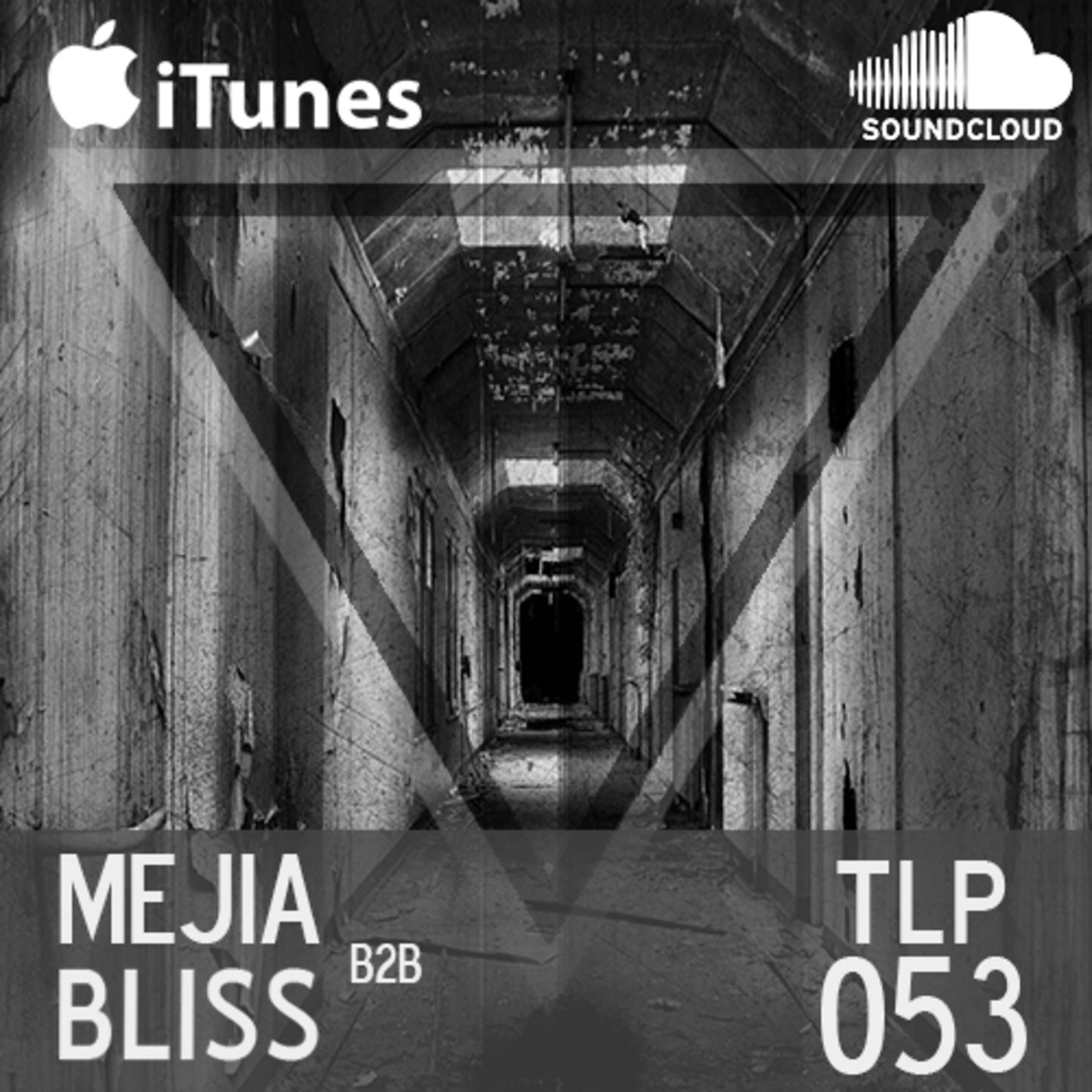 TLP053 Mejia b2b Bliss