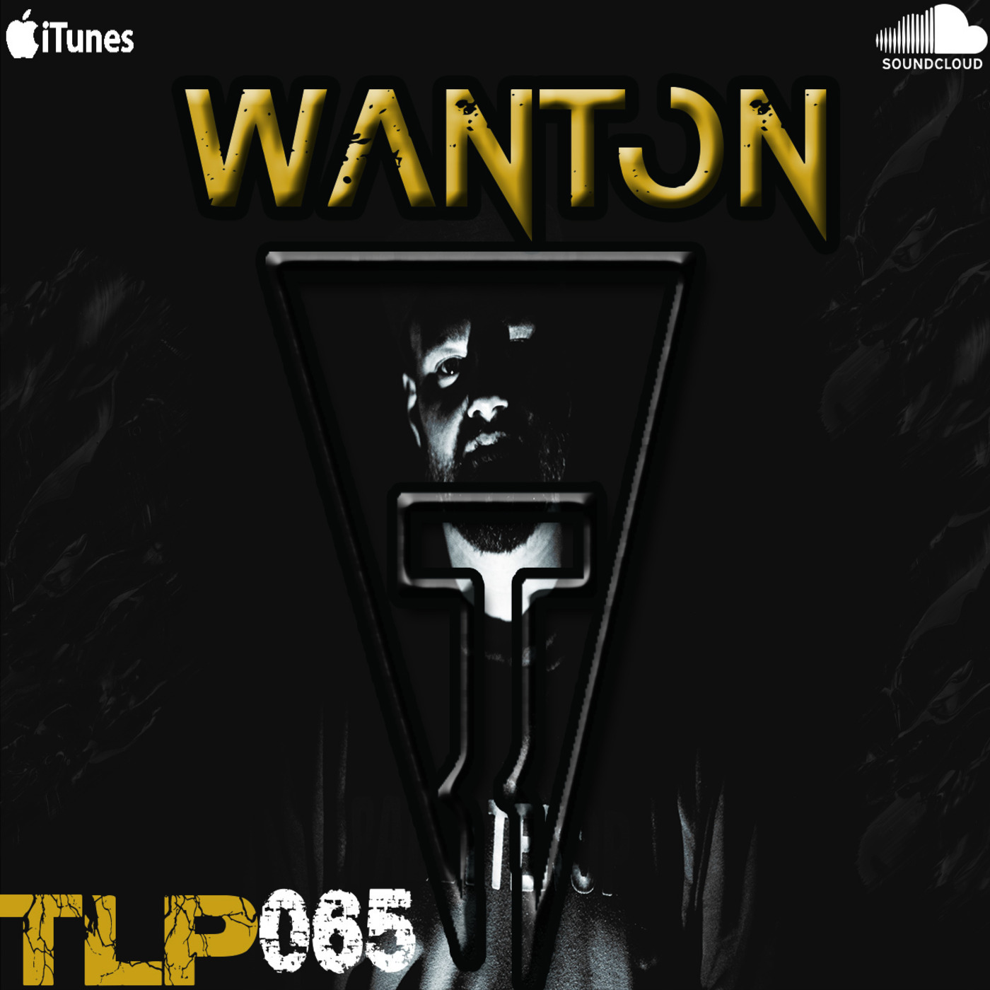 TLP065 WANTON