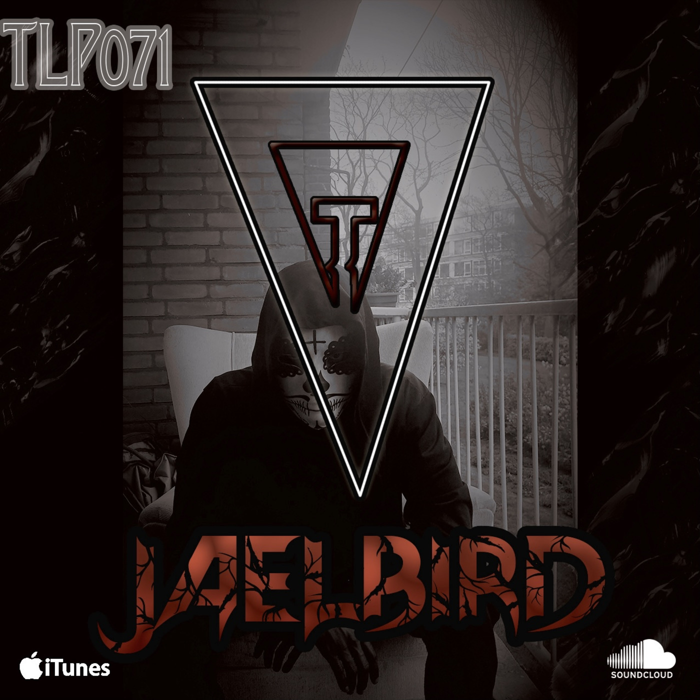 TLP071 JAELBiRD