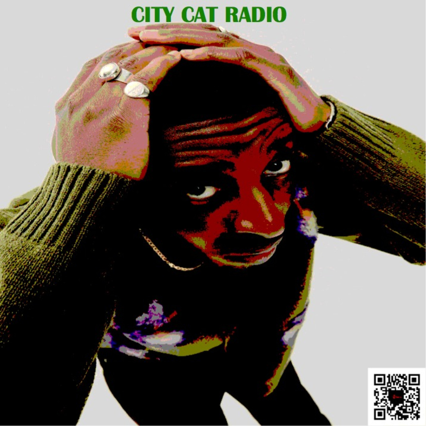CITY CAT RADIO