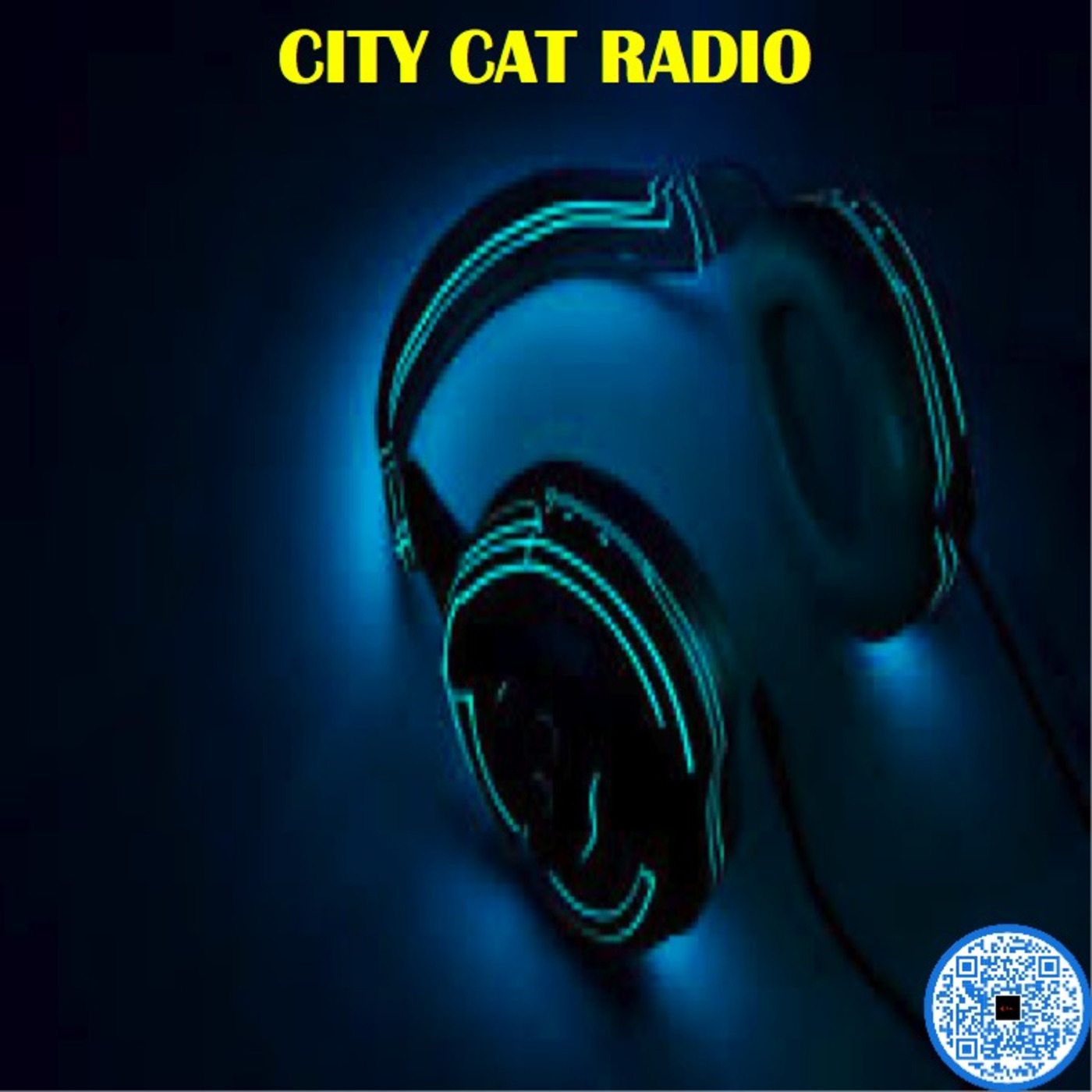 CITY CAT RADIO